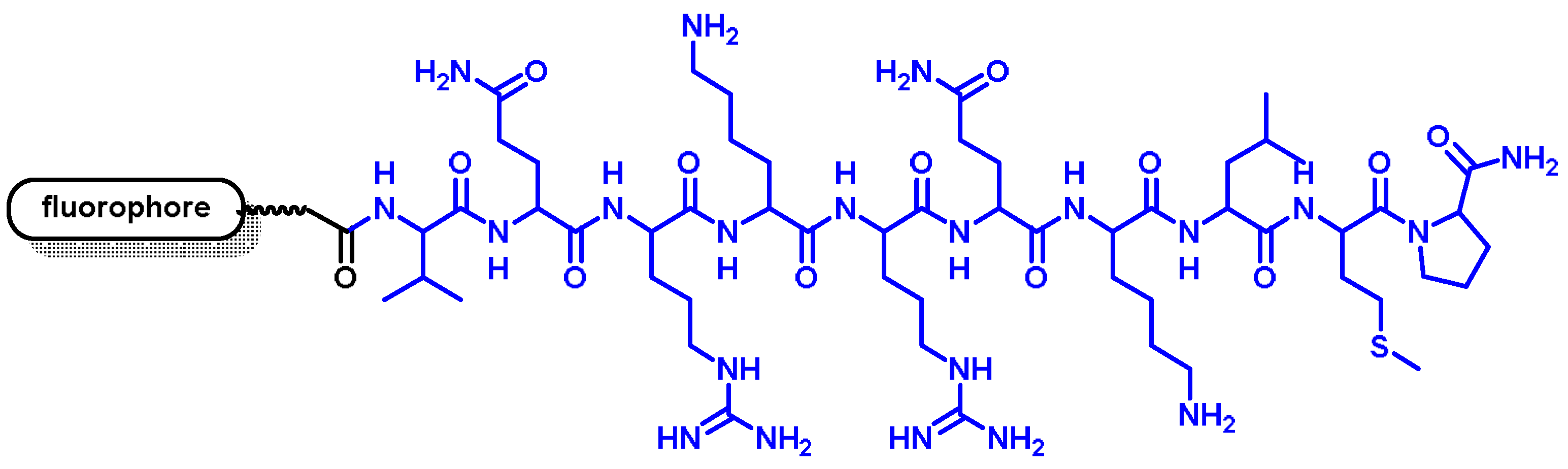 Chemosensors 11 00125 g003
