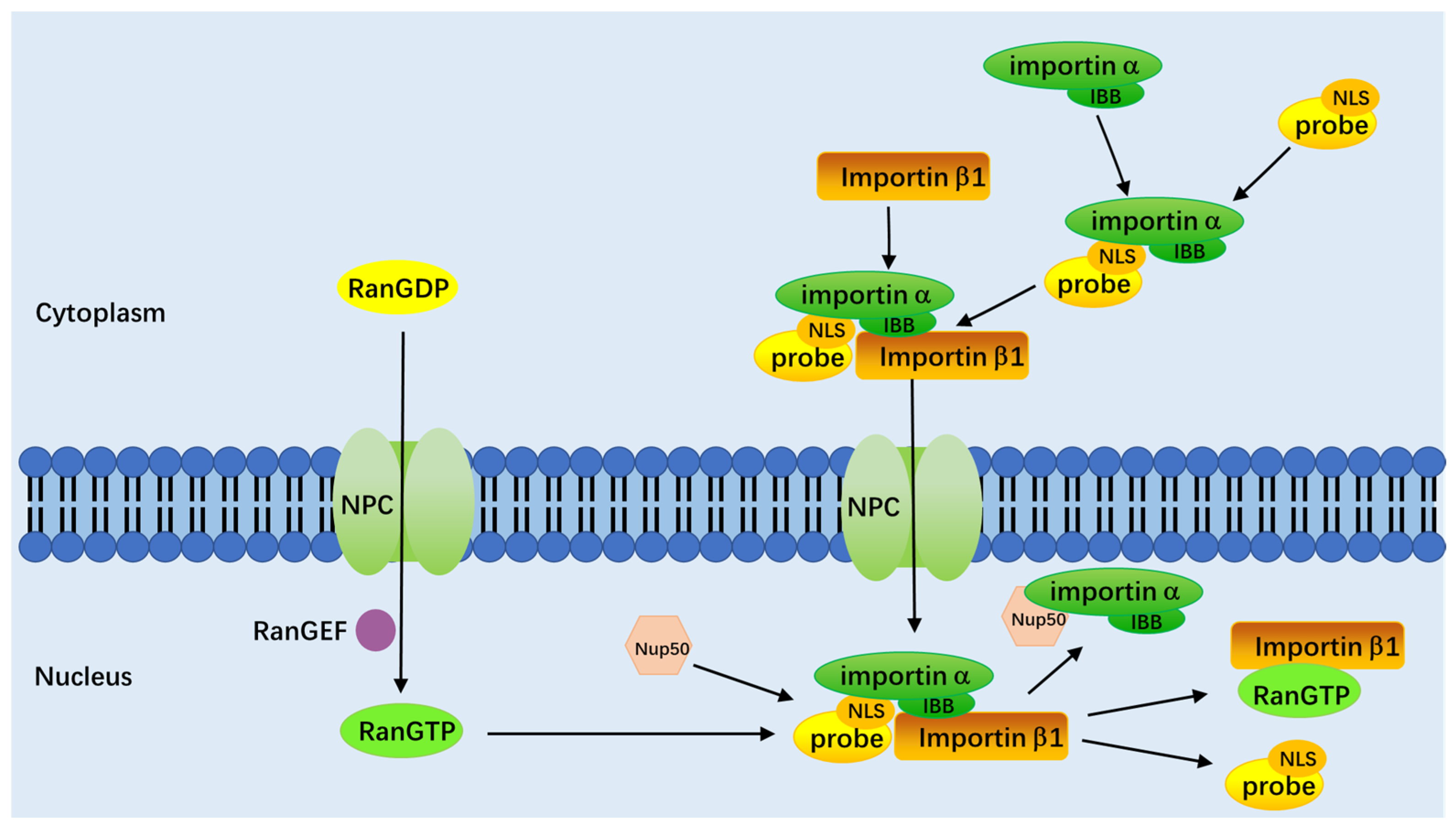 Chemosensors 11 00125 g004