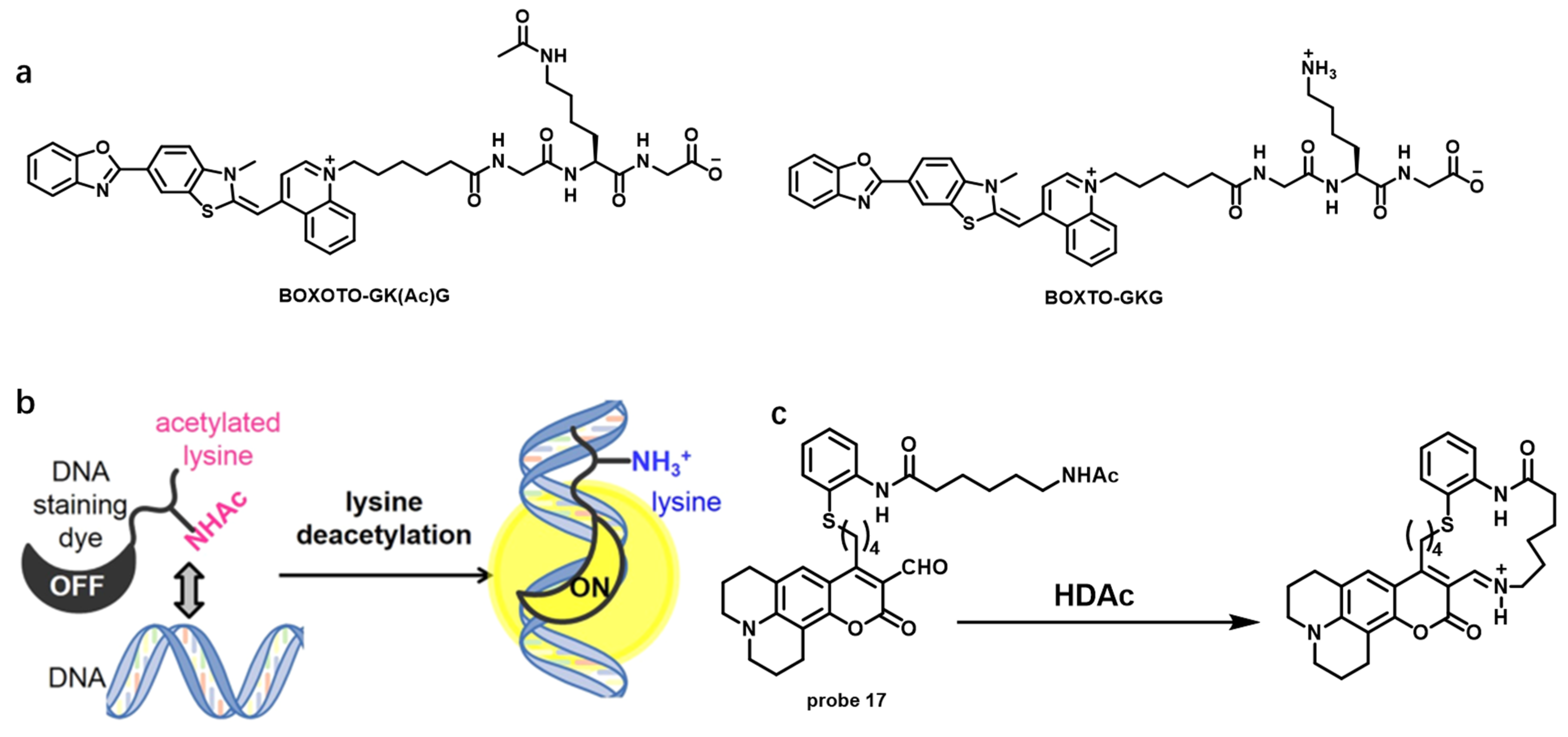 Chemosensors 11 00125 g020