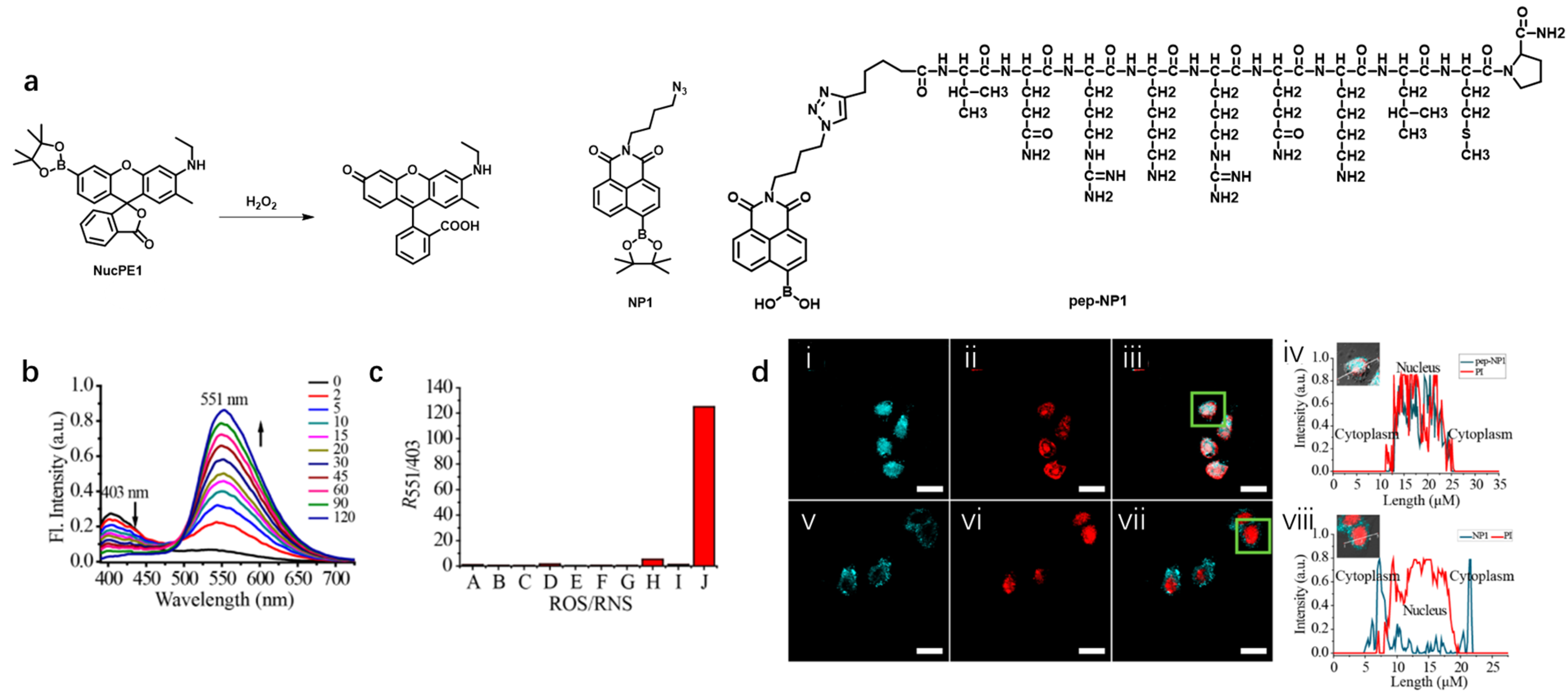 Chemosensors 11 00125 g022