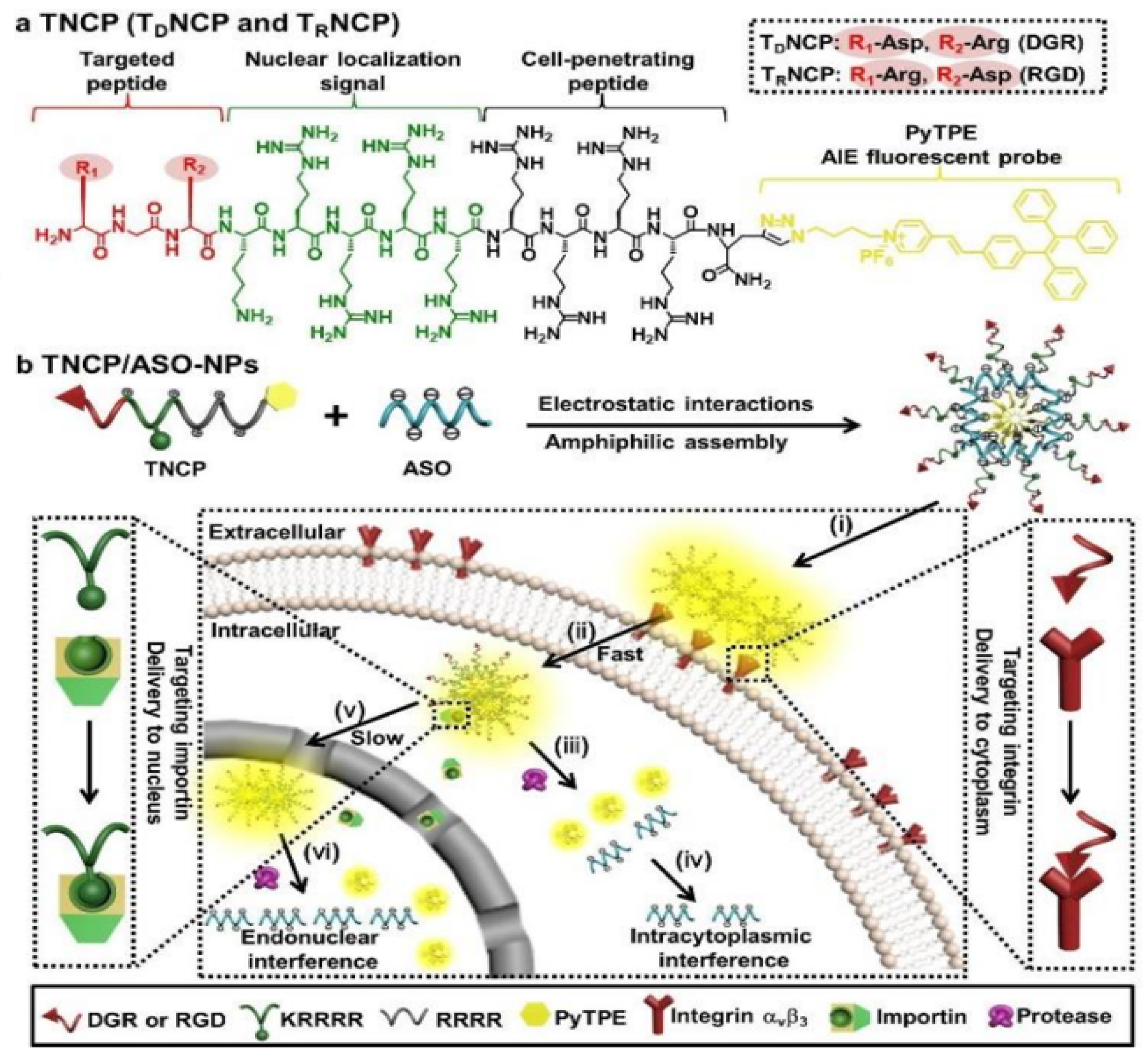 Chemosensors 11 00125 g026
