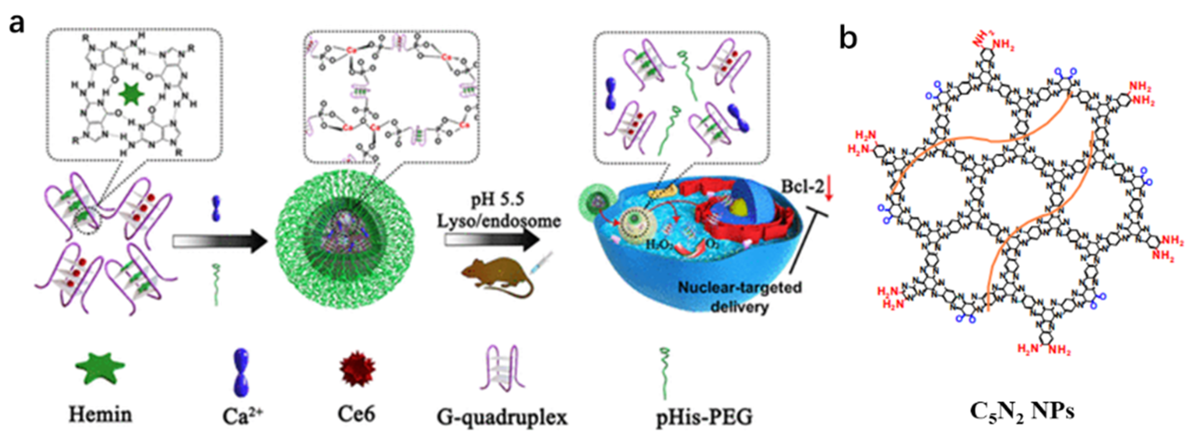 Chemosensors 11 00125 g029