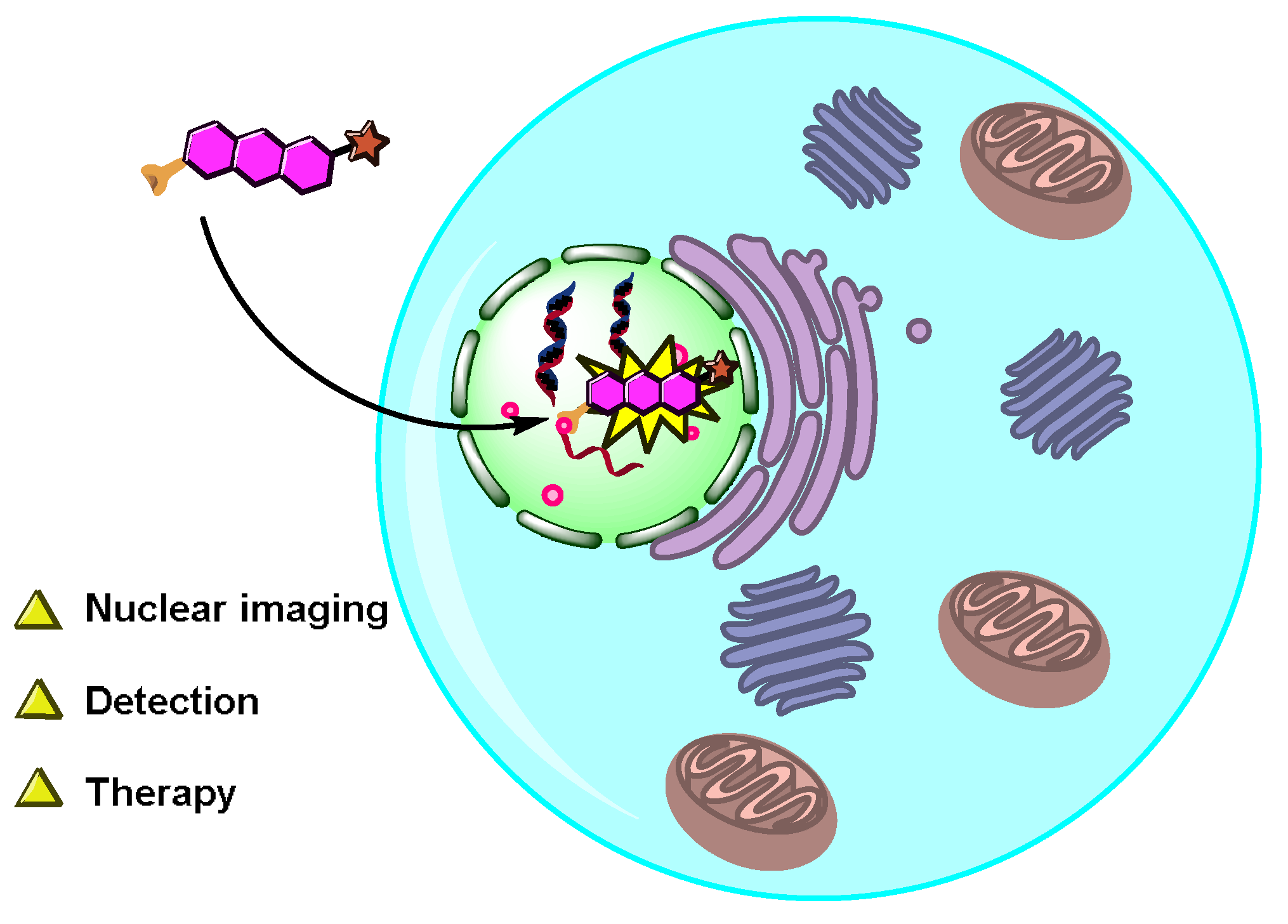 Chemosensors 11 00125 sch001