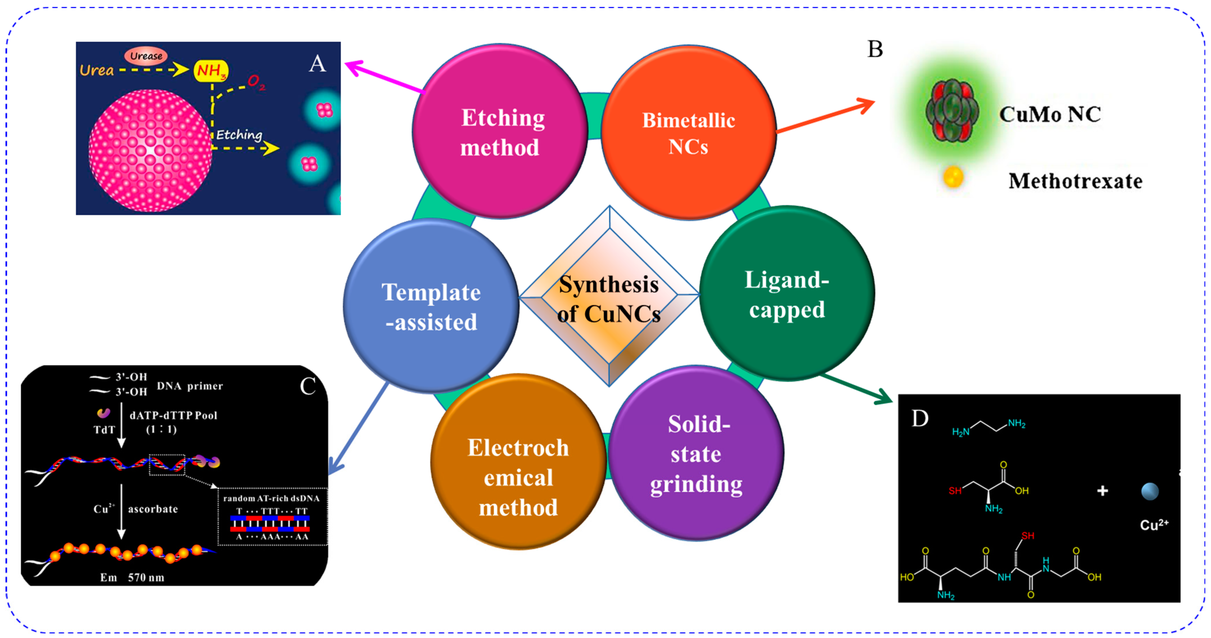 Chemosensors 11 00159 g002
