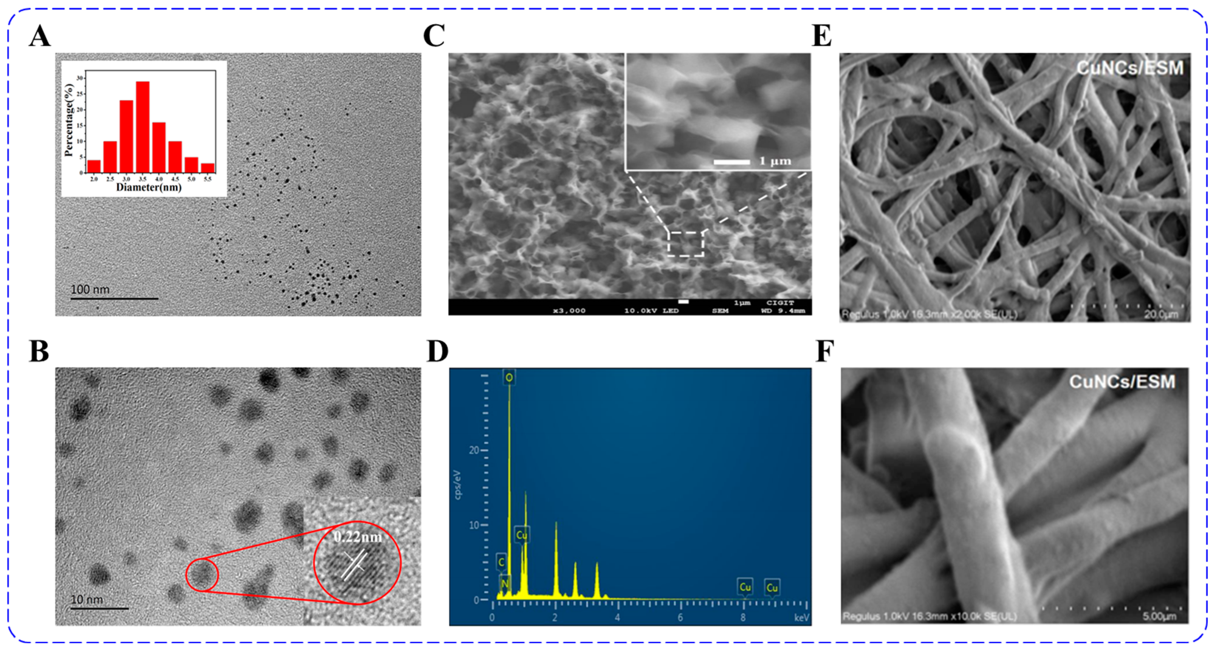 Chemosensors 11 00159 g004
