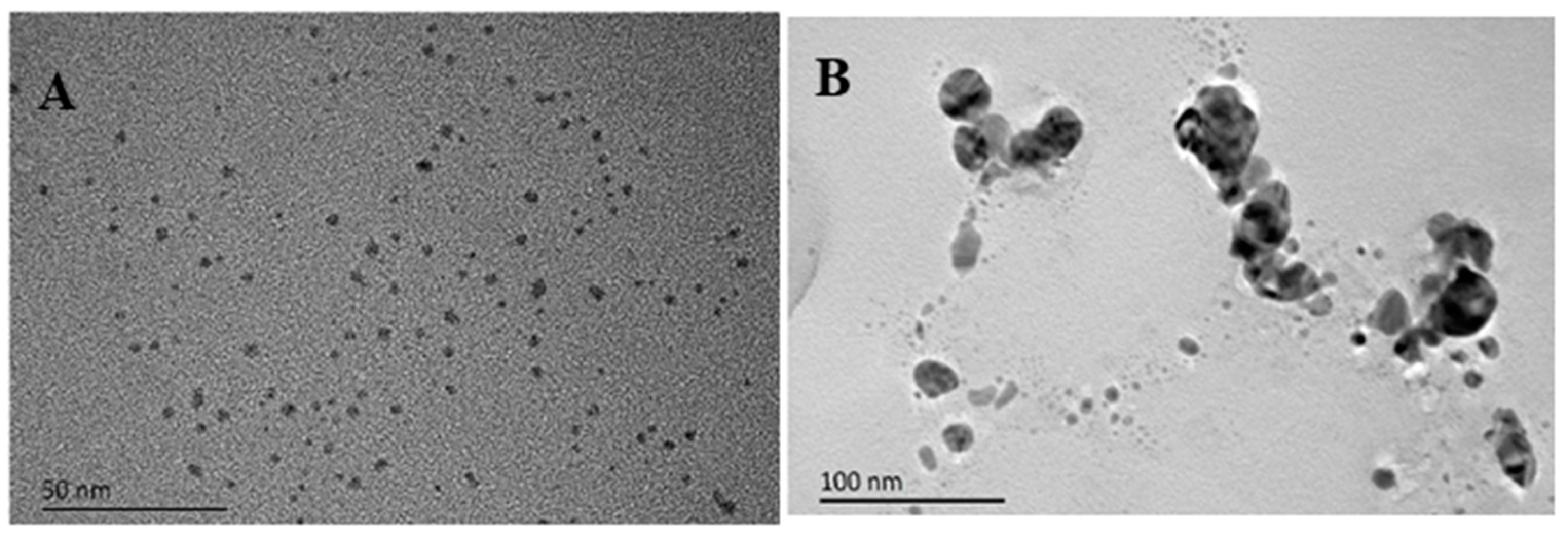 Chemosensors 11 00159 g006