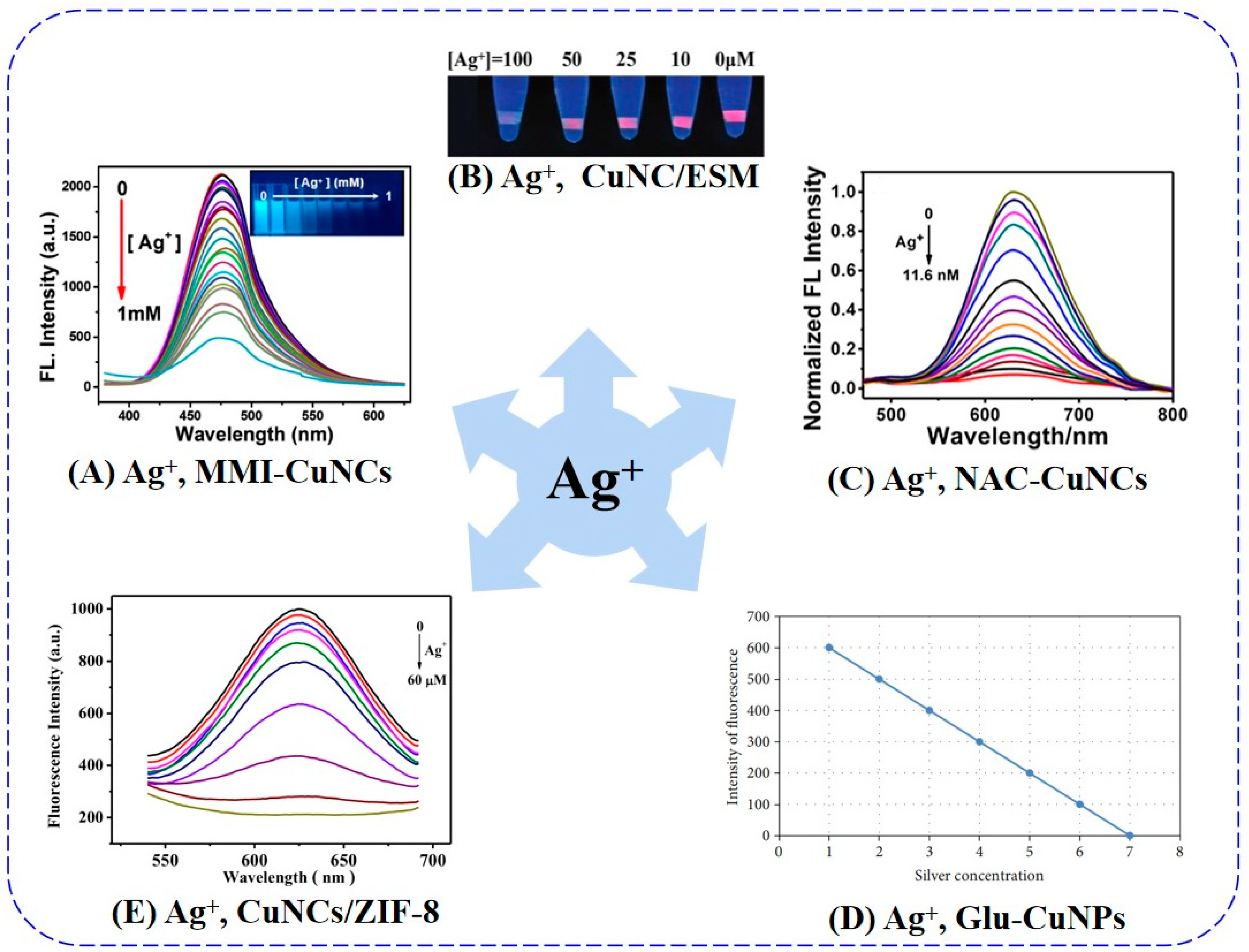 Chemosensors 11 00159 g008