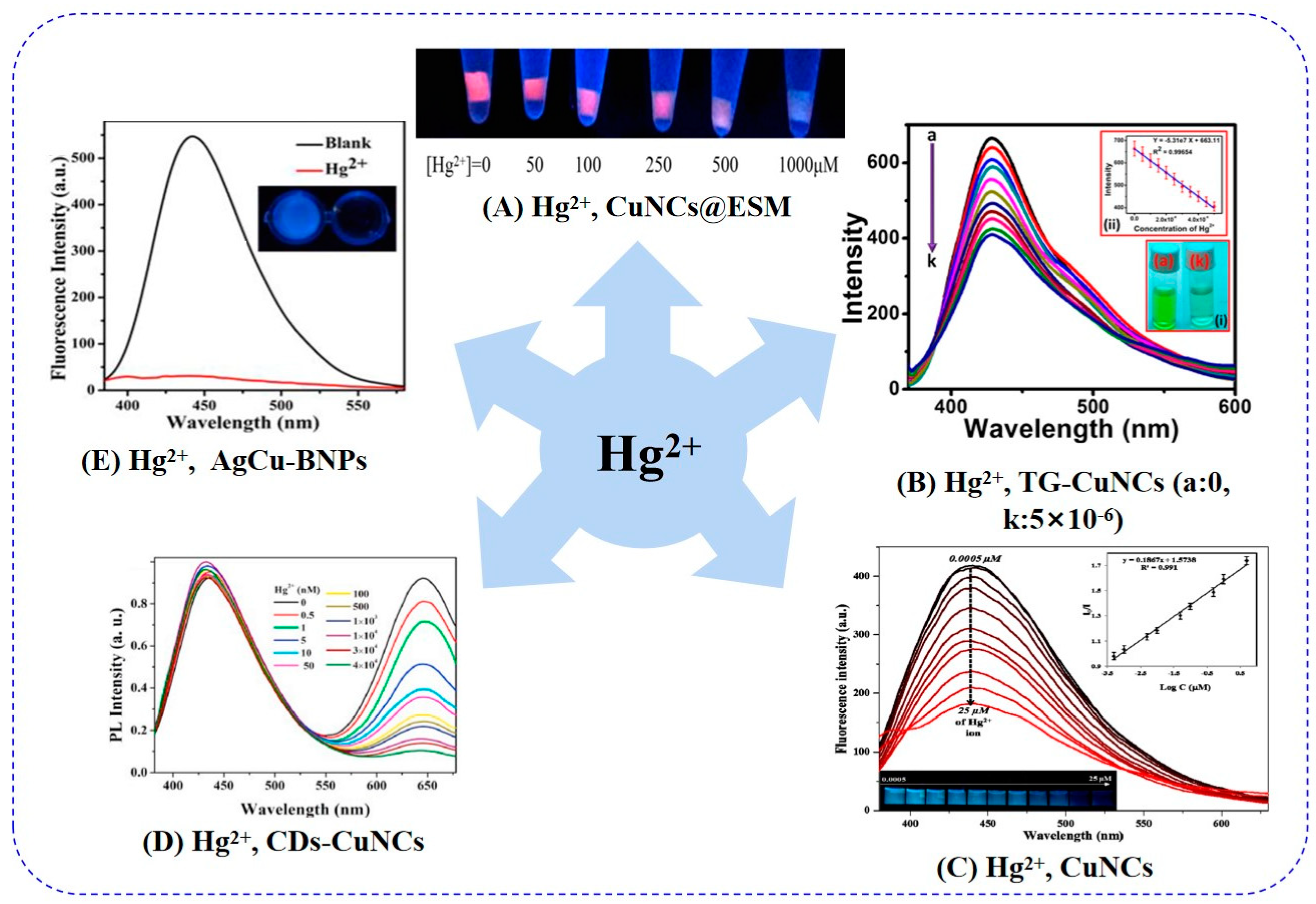 Chemosensors 11 00159 g009