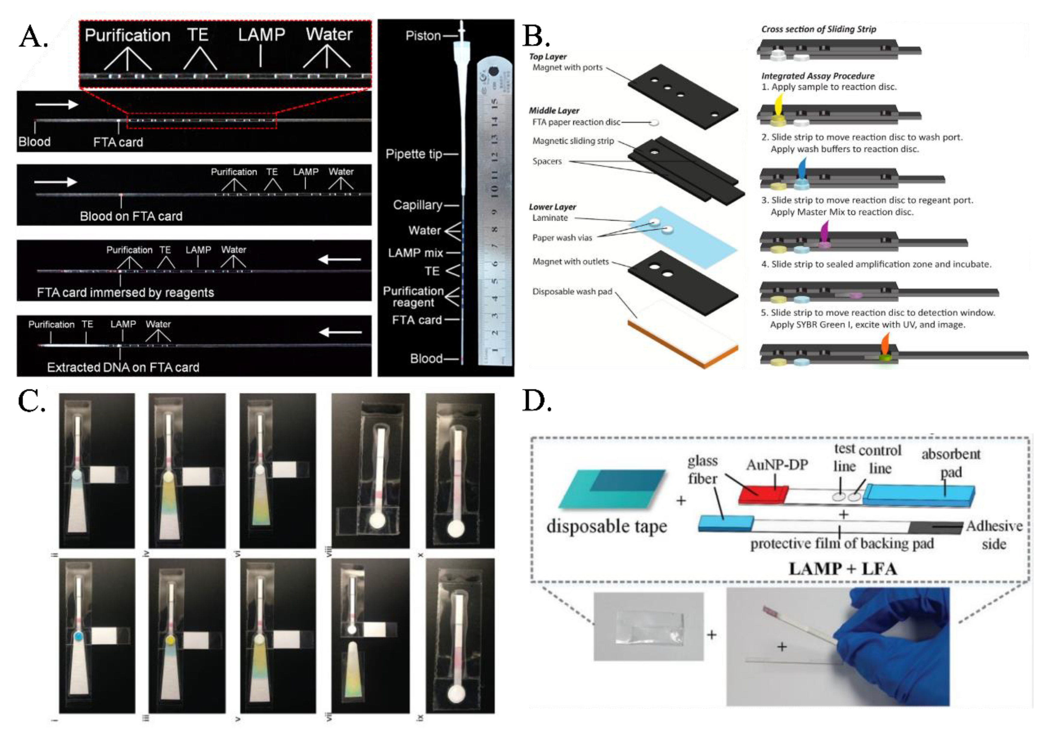 Chemosensors 11 00163 g002