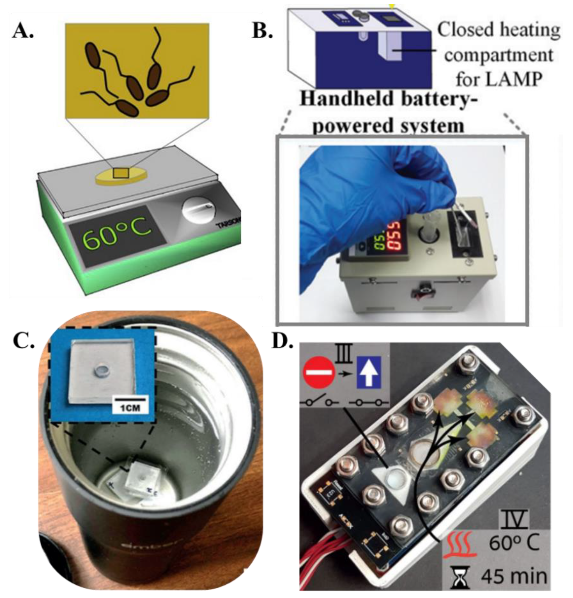 Chemosensors 11 00163 g004