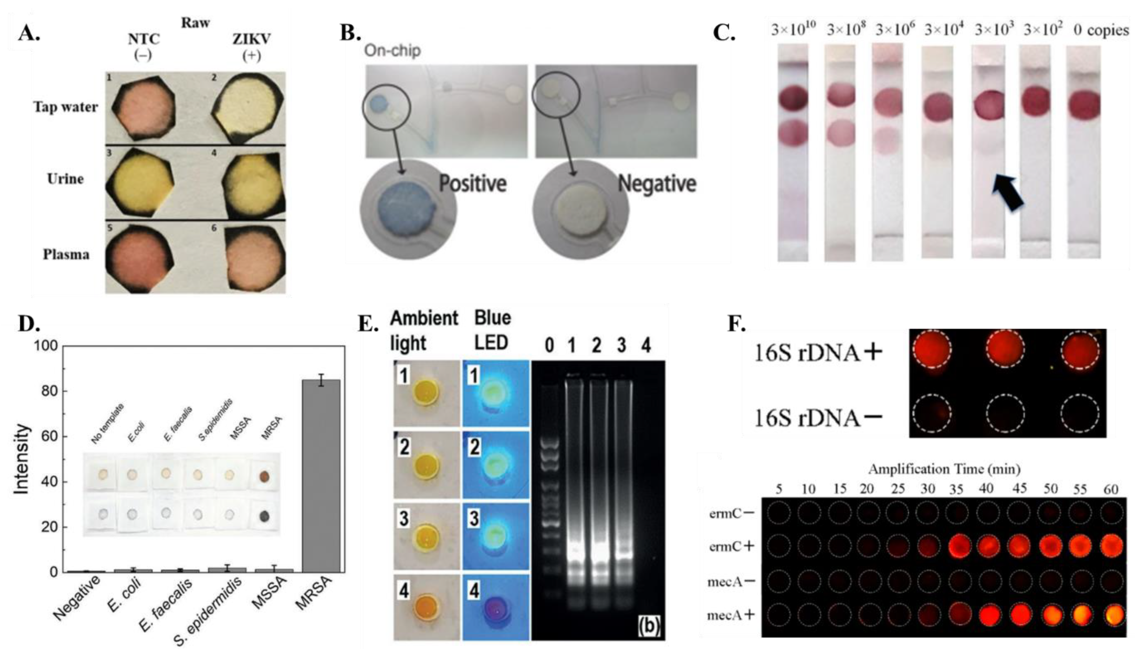 Chemosensors 11 00163 g005