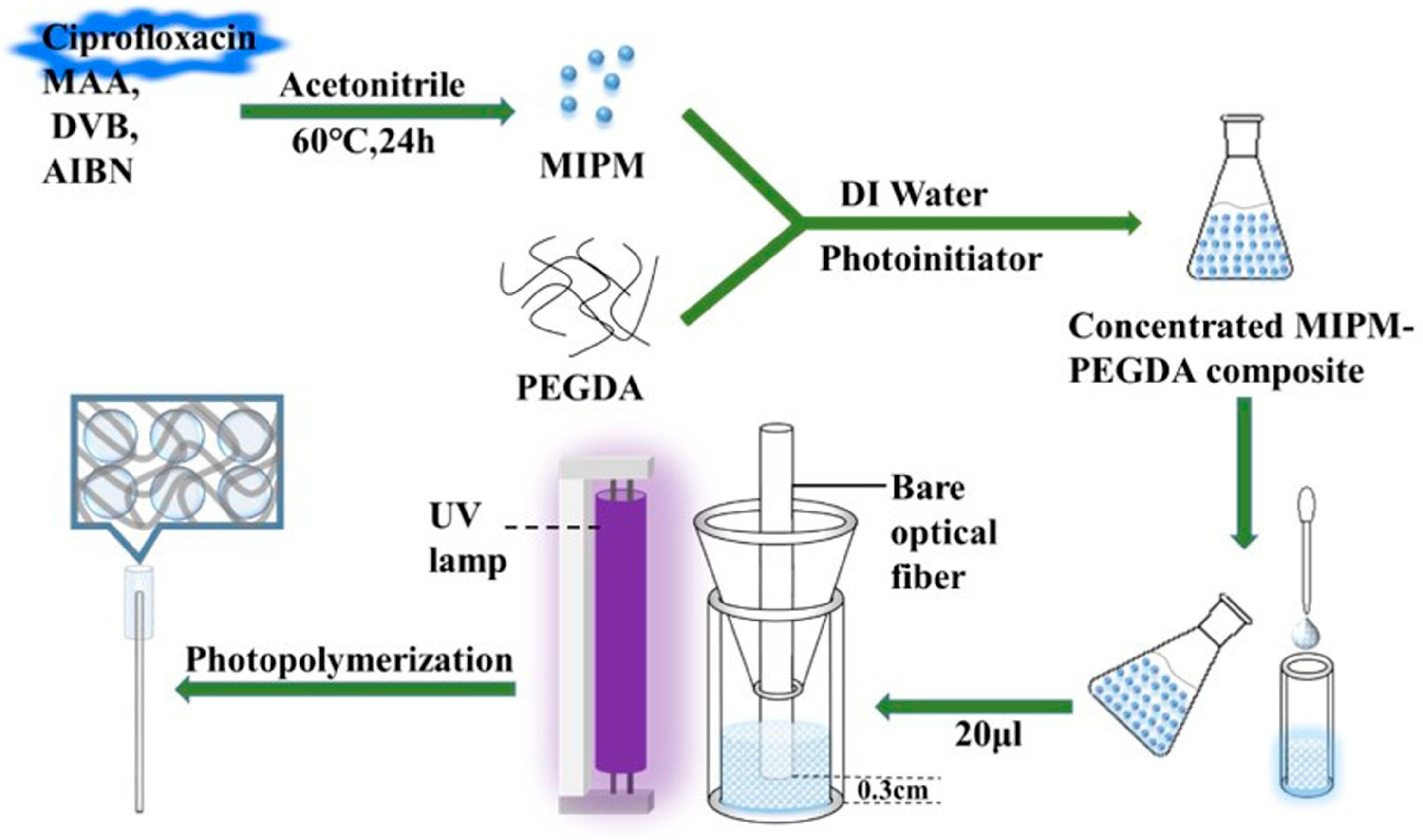 Chemosensors 11 00168 g003