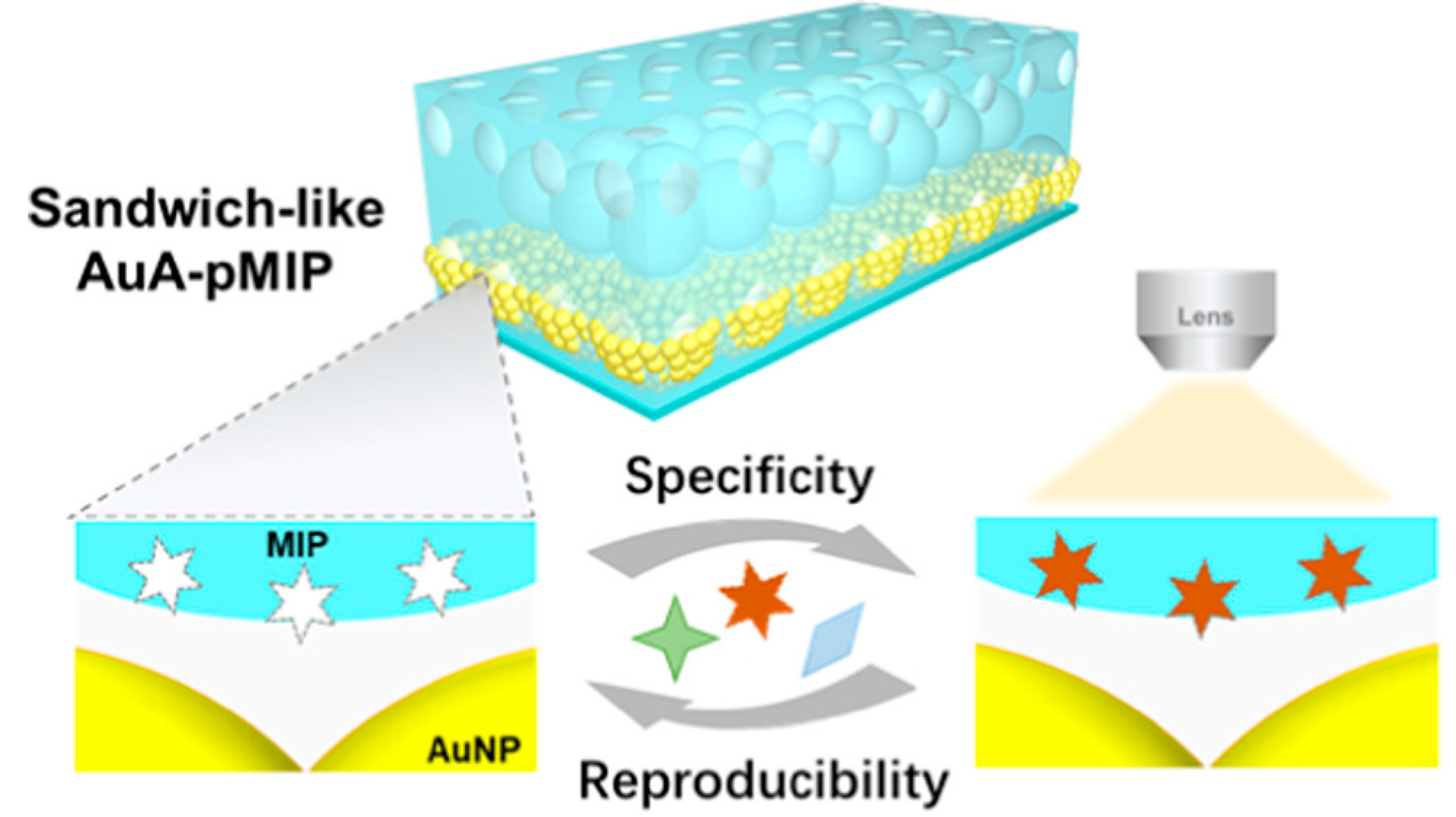Chemosensors 11 00168 g007