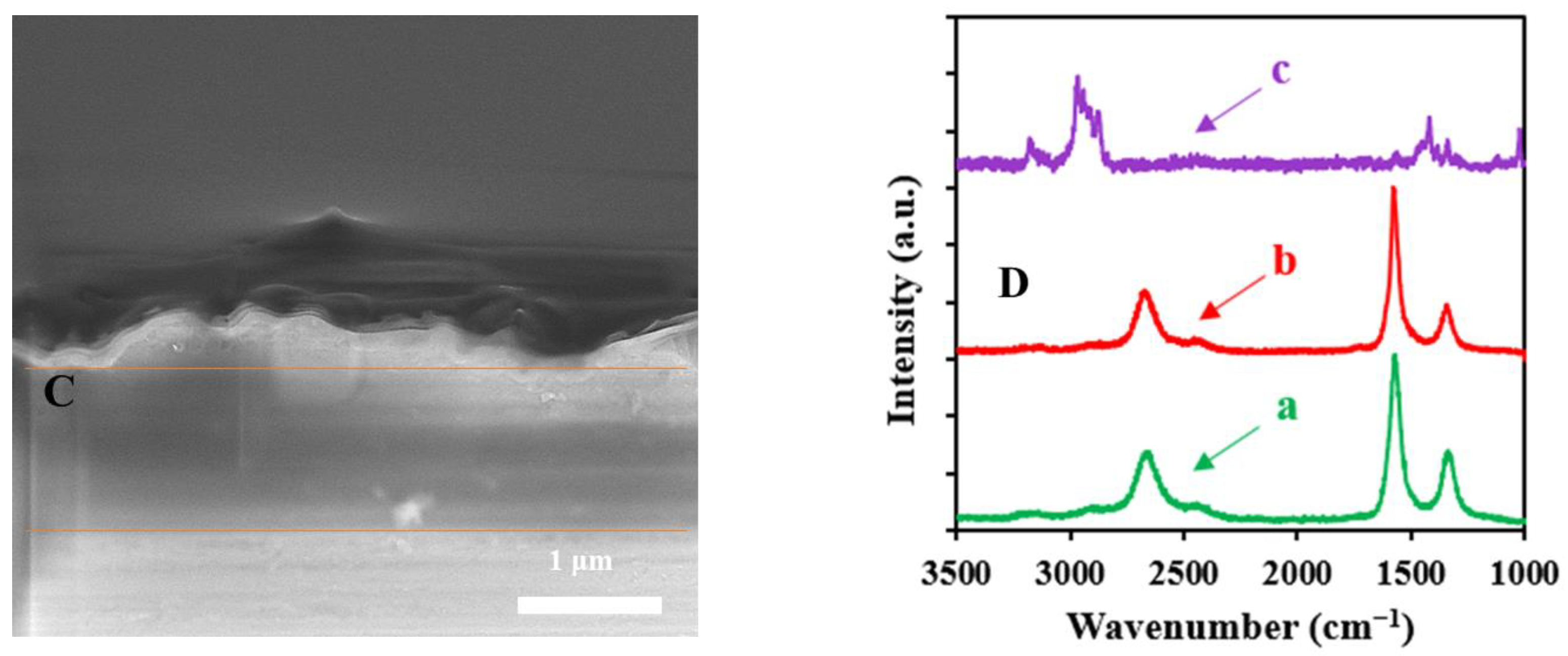 Chemosensors 11 00171 g002b Chemosensors 11 00171 g002b
