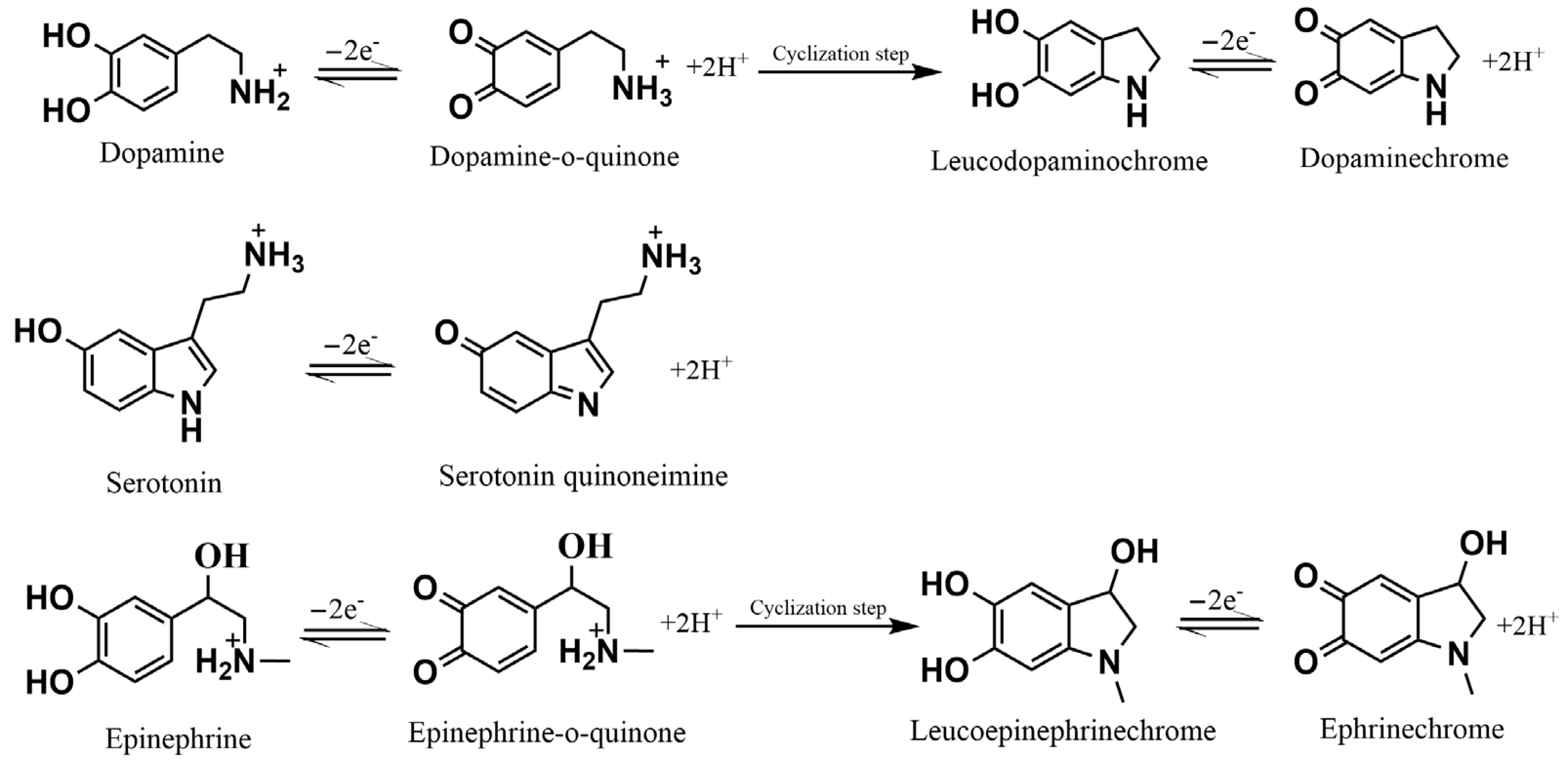Chemosensors 11 00179 g002