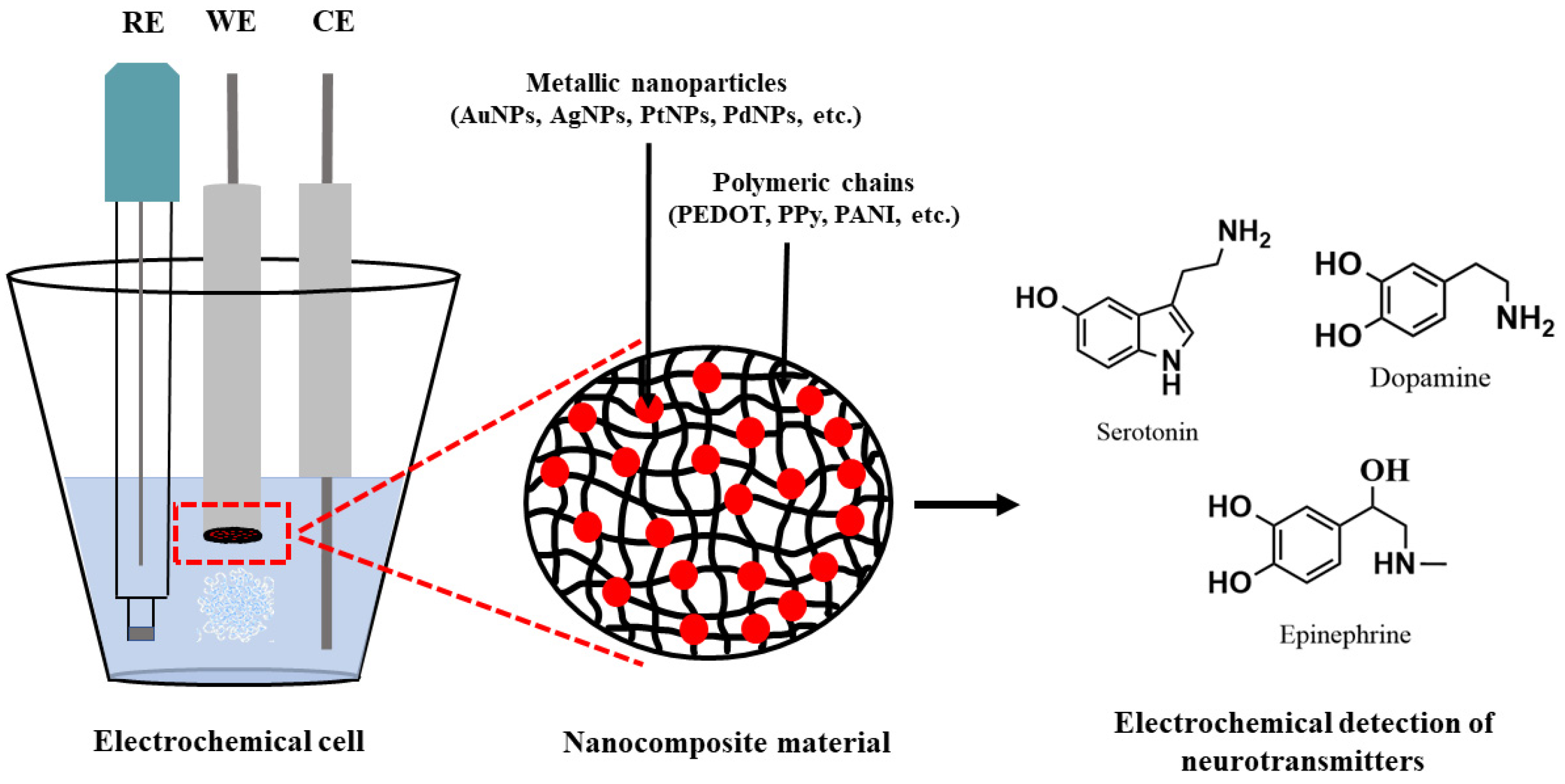 Chemosensors 11 00179 g003