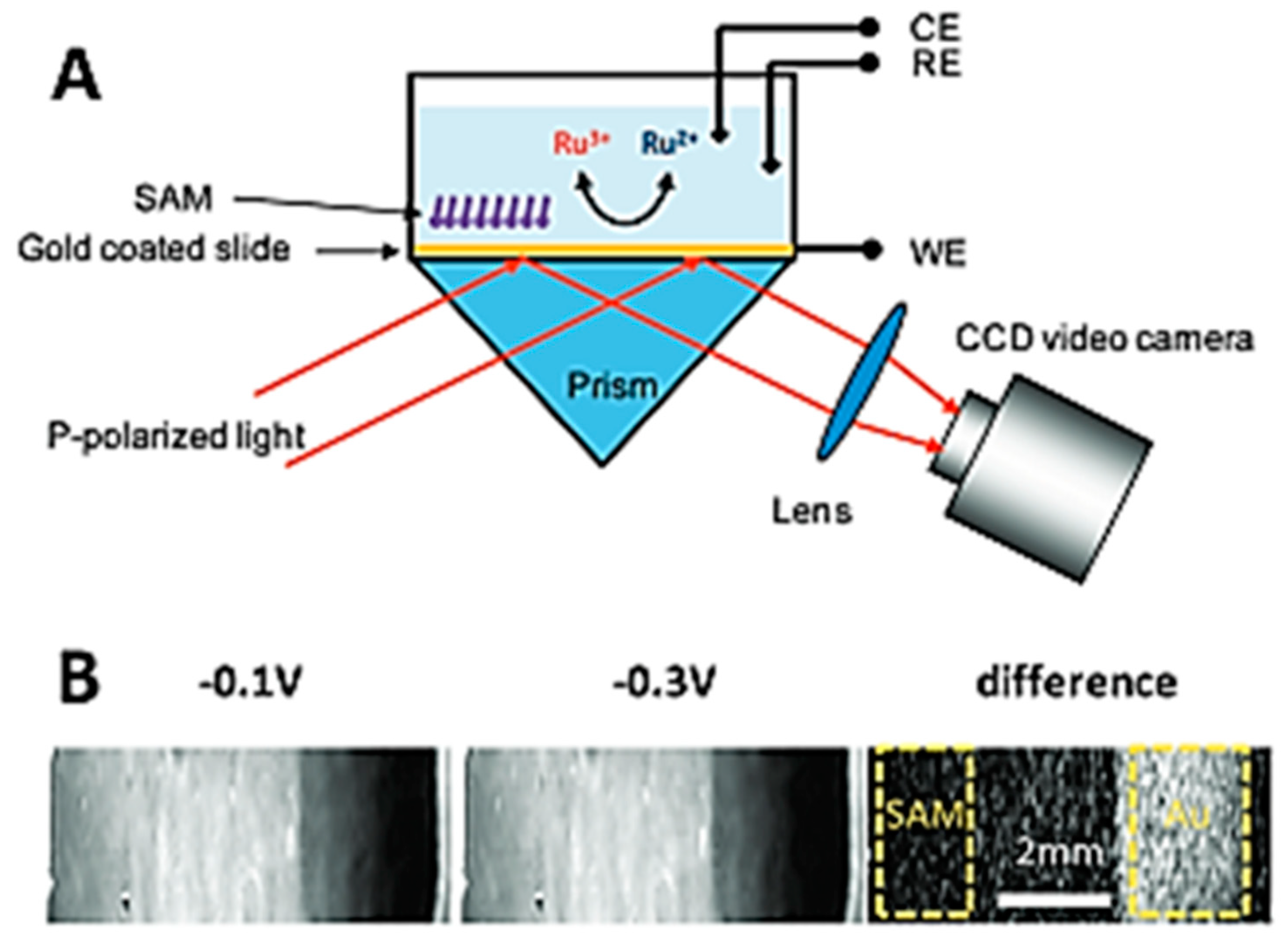 Chemosensors 11 00196 g014