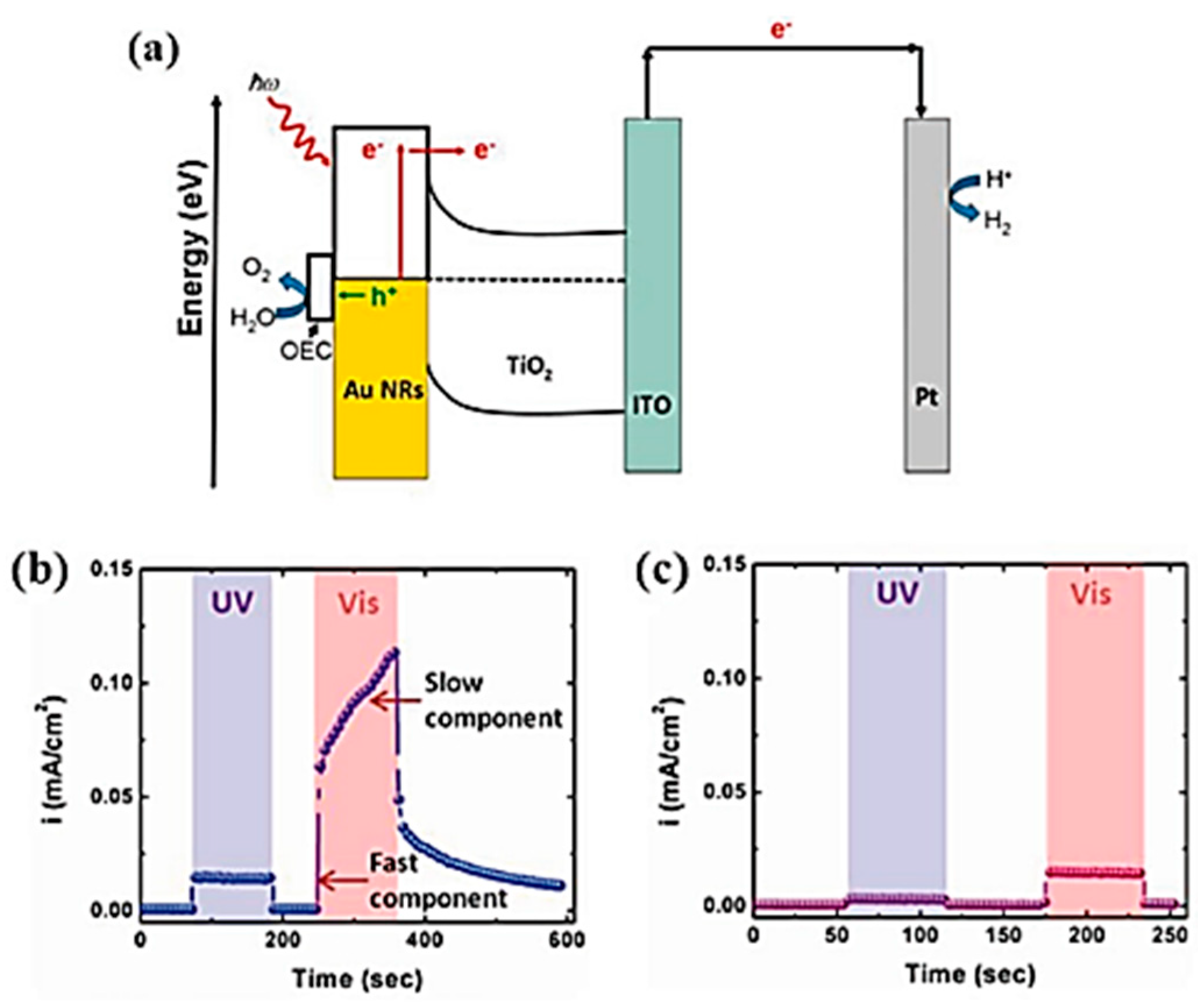 Chemosensors 11 00196 g018