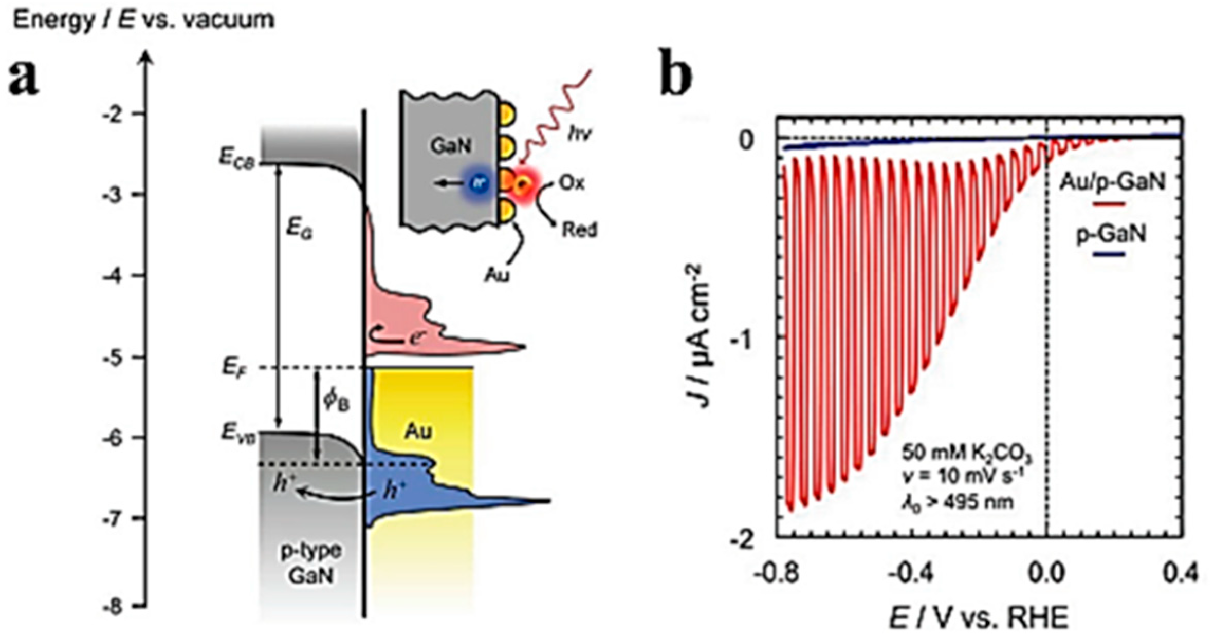 Chemosensors 11 00196 g019