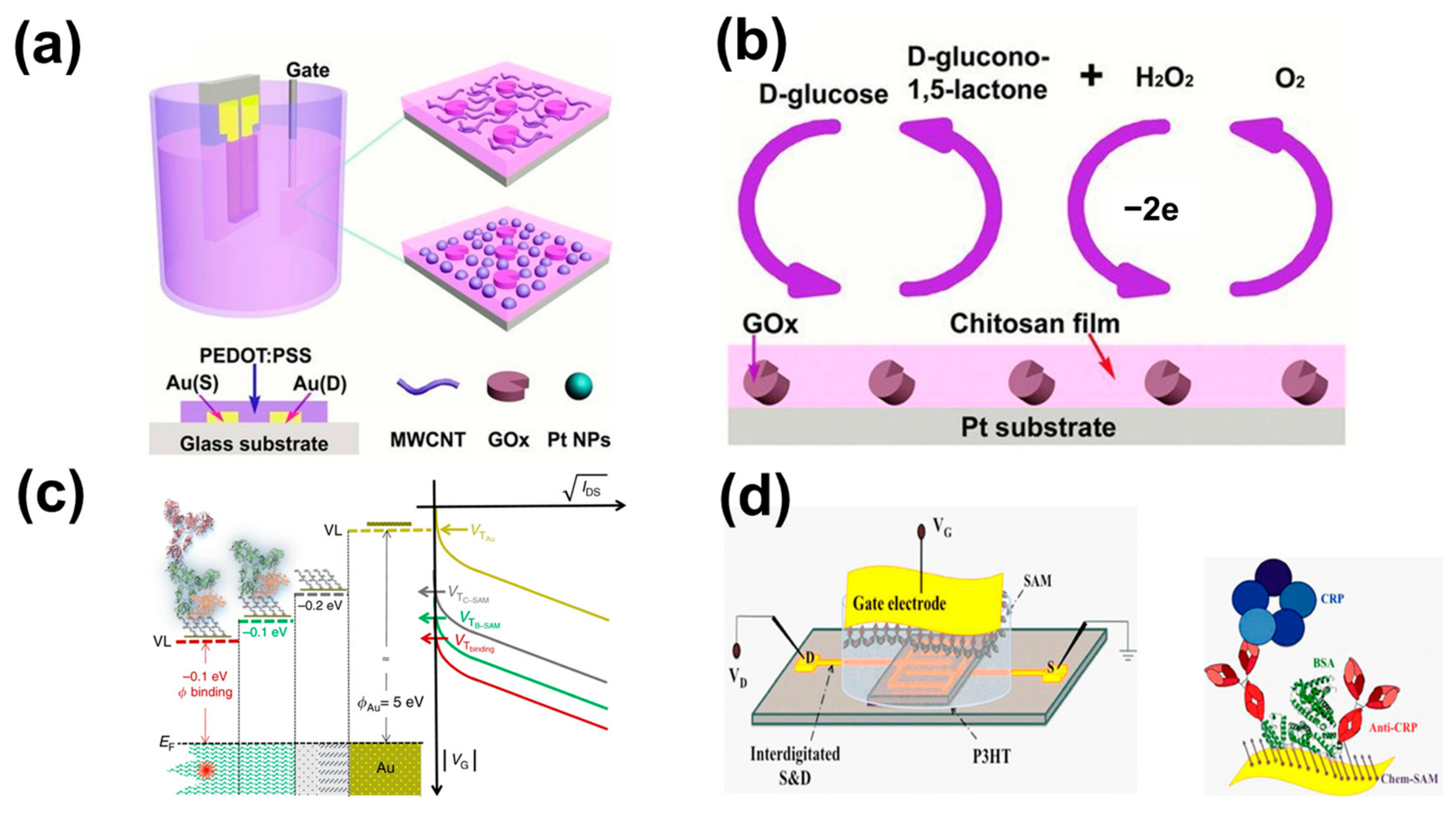 Chemosensors, Free Full-Text