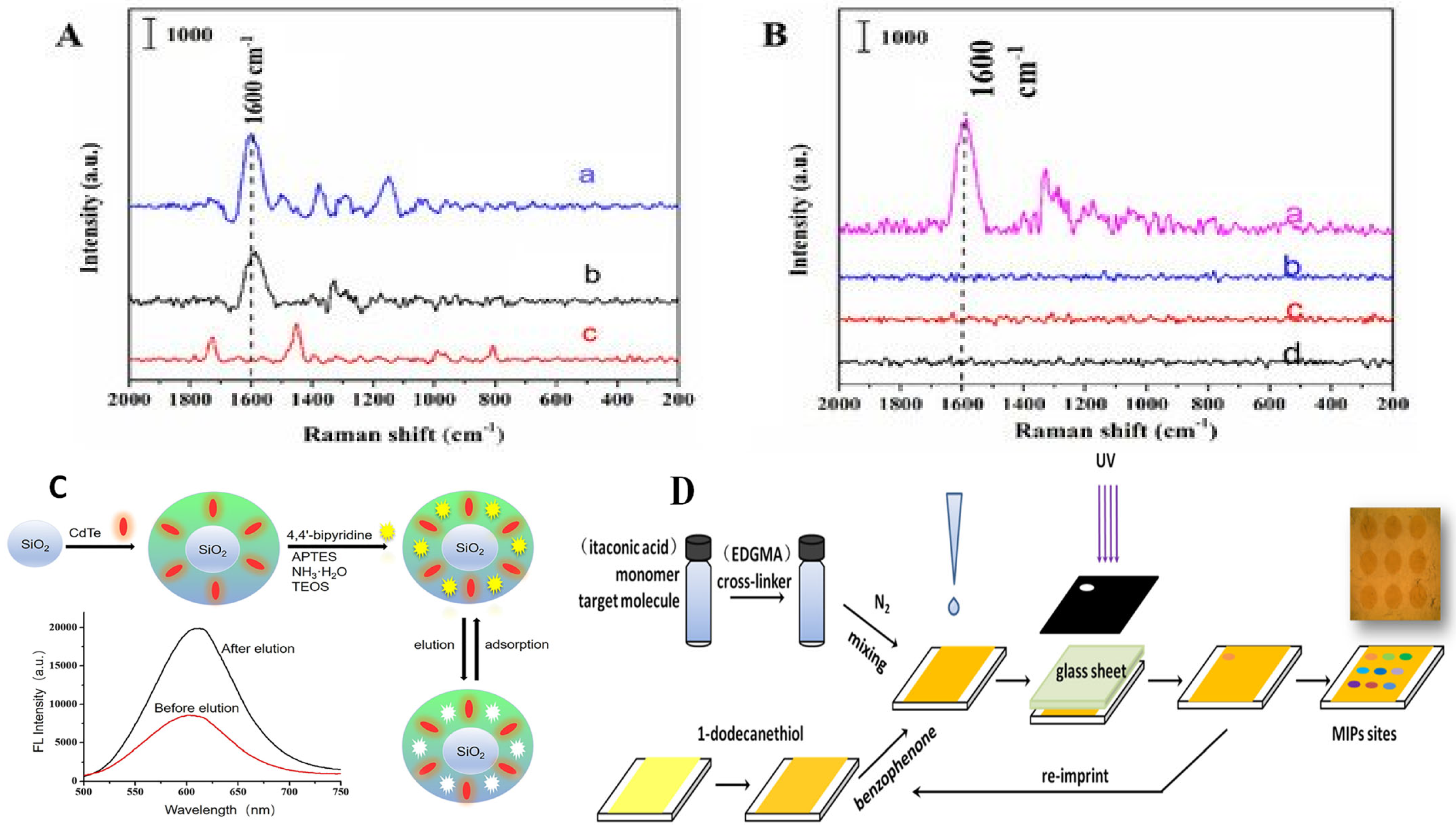 Chemosensors 11 00203 g006