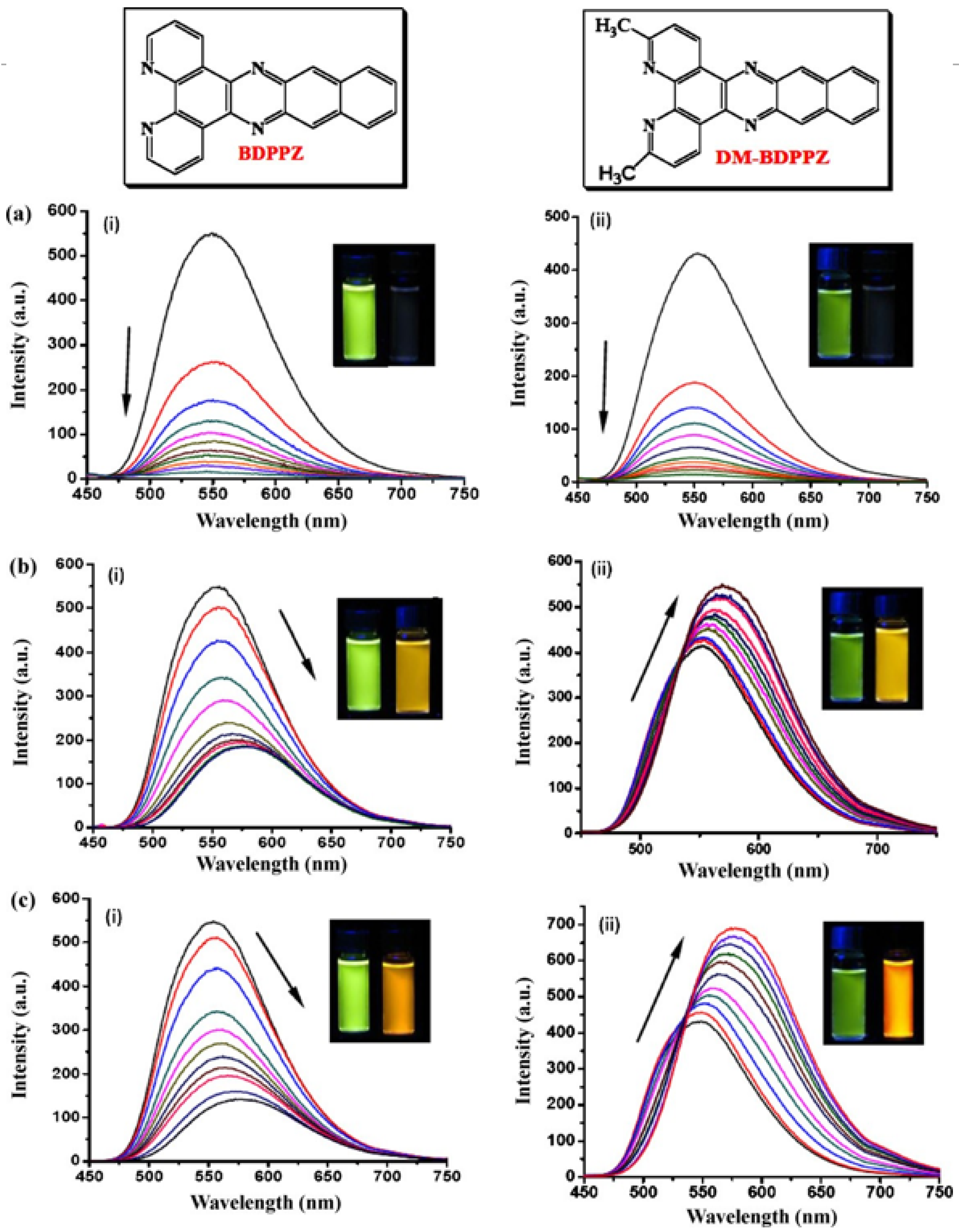 Chemosensors 11 00203 g008