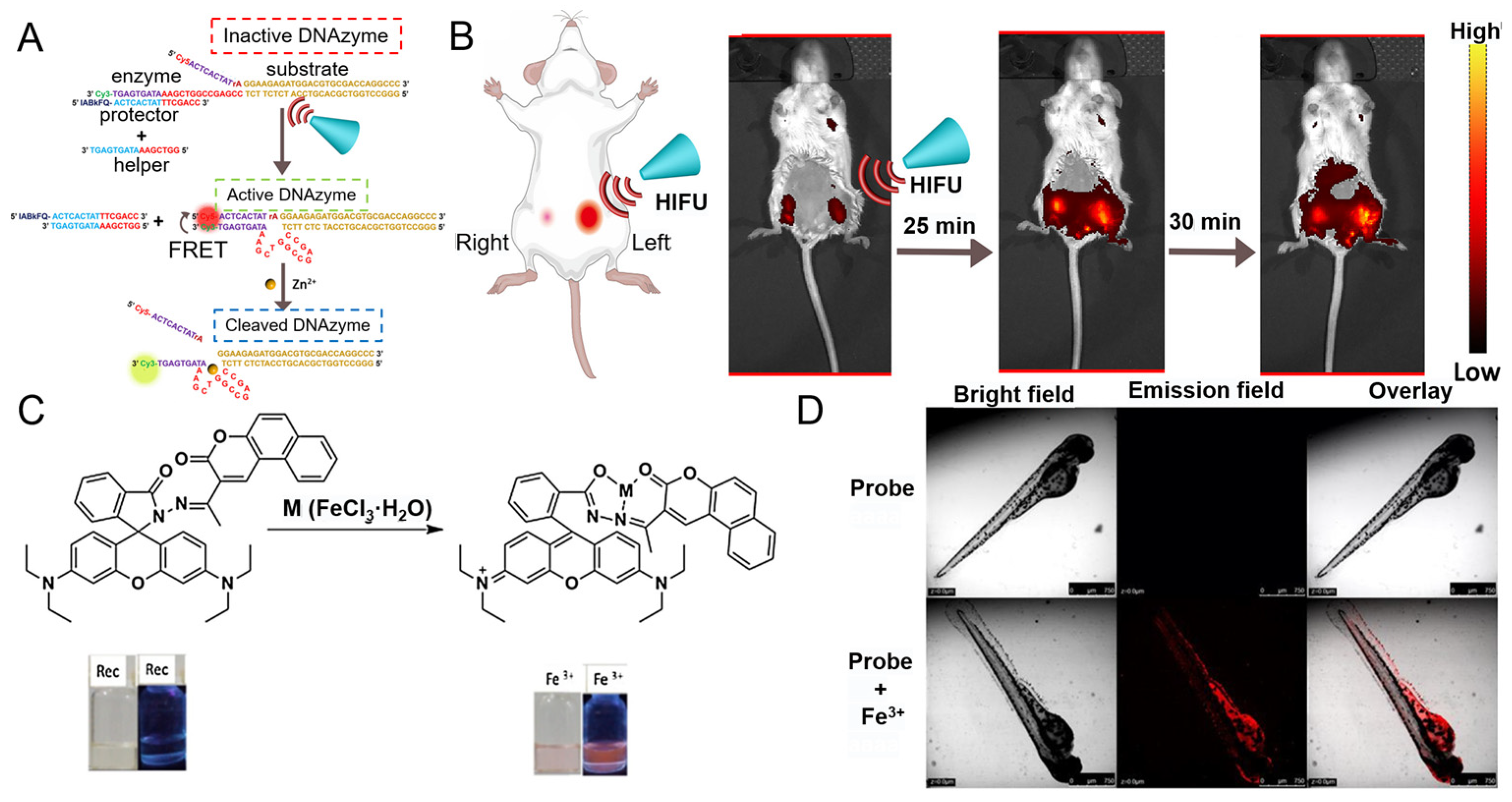 Chemosensors Free Full Text Fluorescent Sensors For Detecting And Imaging Metal Ions In 6028