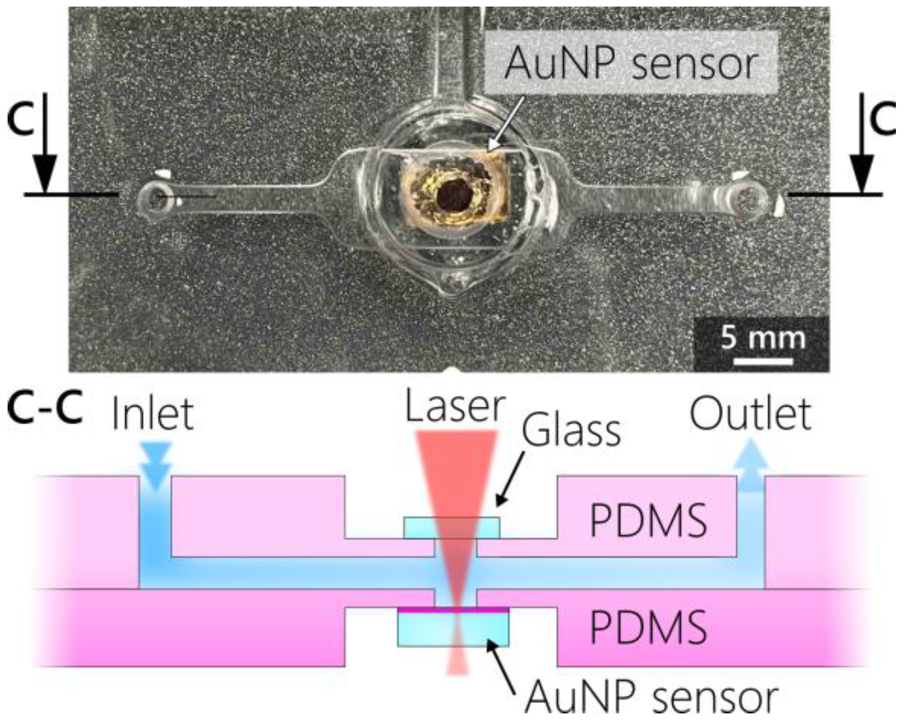 Chemosensors Free Full Text Three Generations Of Surface Nanocomposites Based On Hexagonally