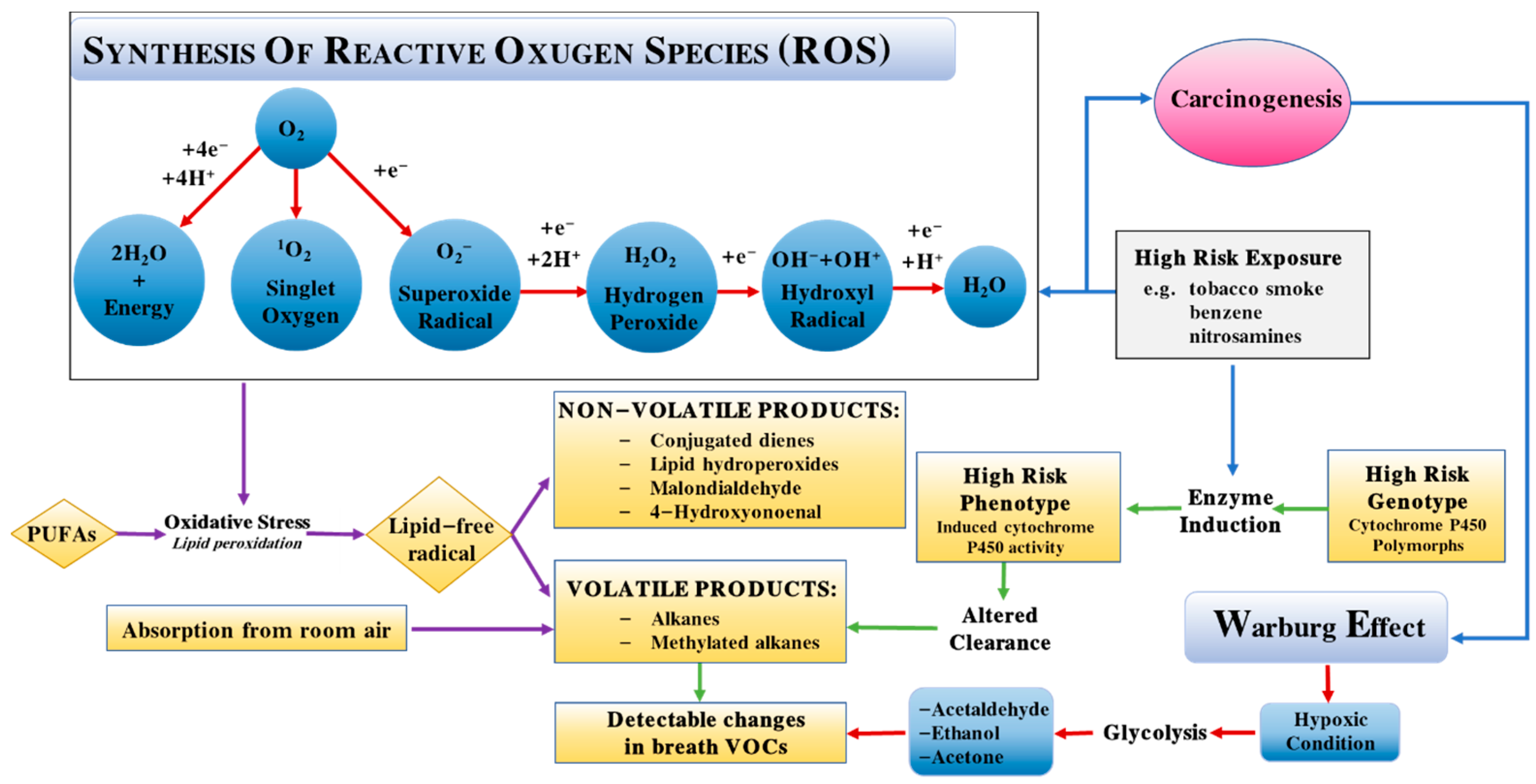 Chemosensors 11 00251 g002 Chemosensors 11 00251 g002
