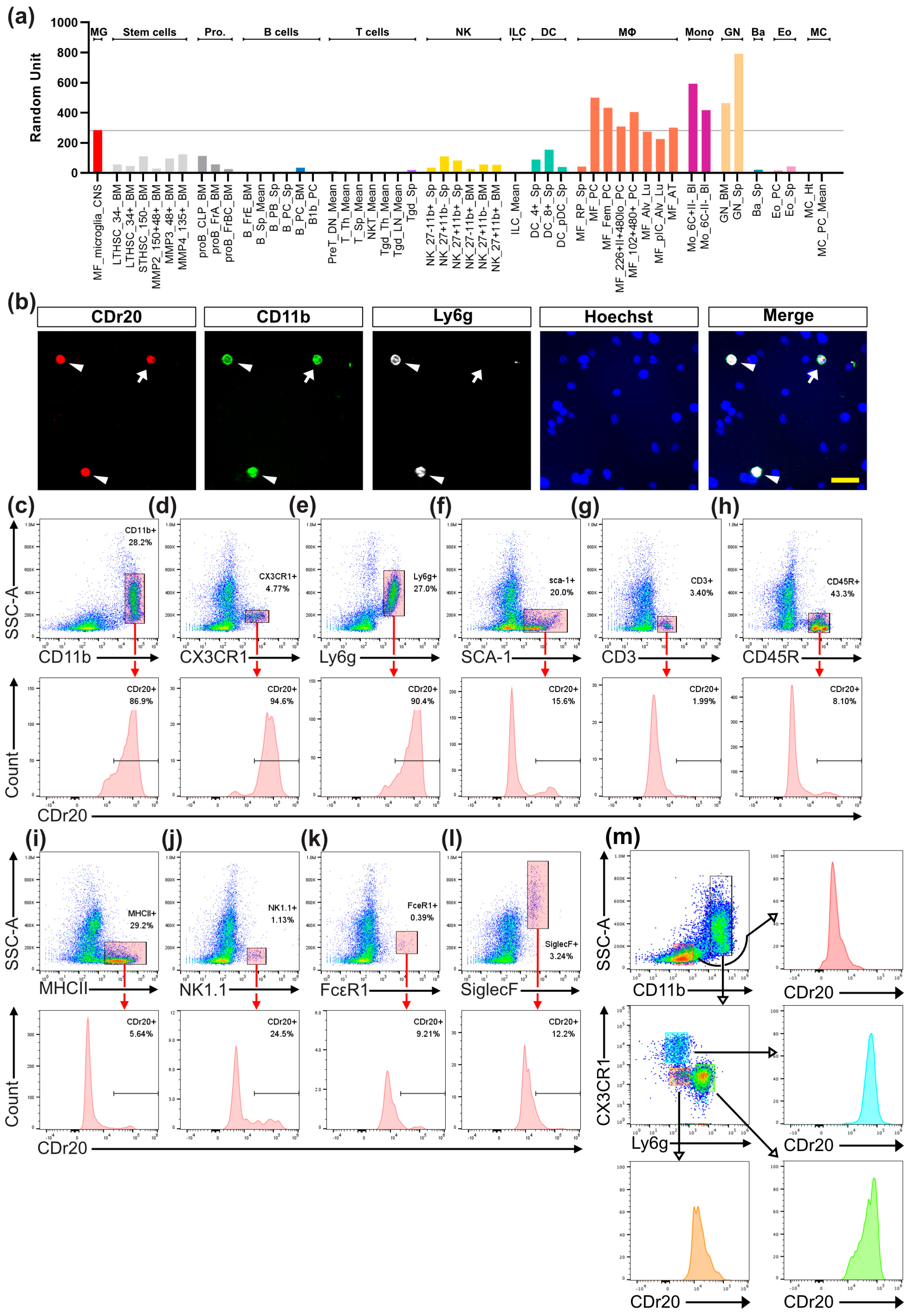 Chemosensors 11 00265 g003 Chemosensors 11 00265 g003