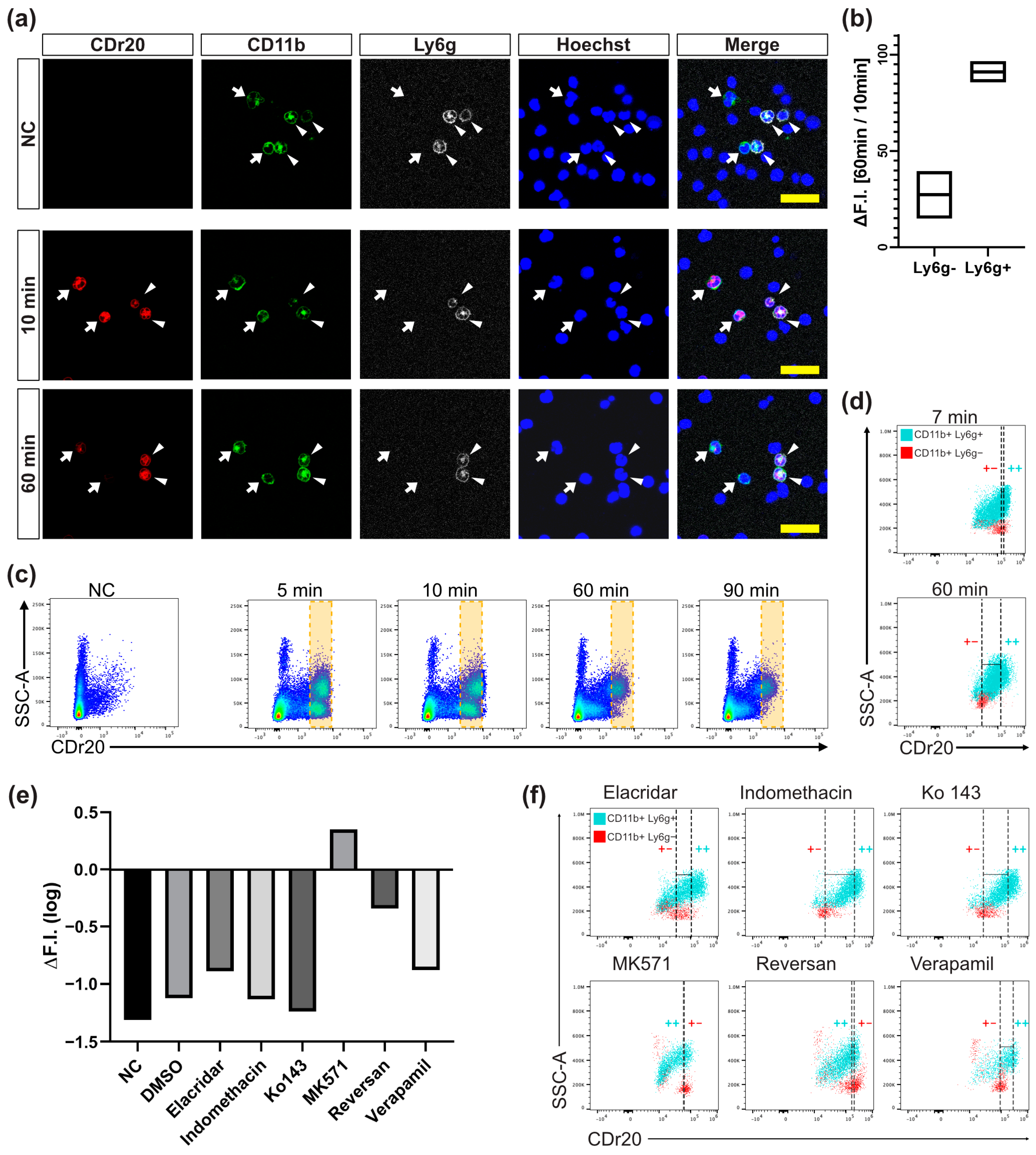 Chemosensors 11 00265 g004 Chemosensors 11 00265 g004