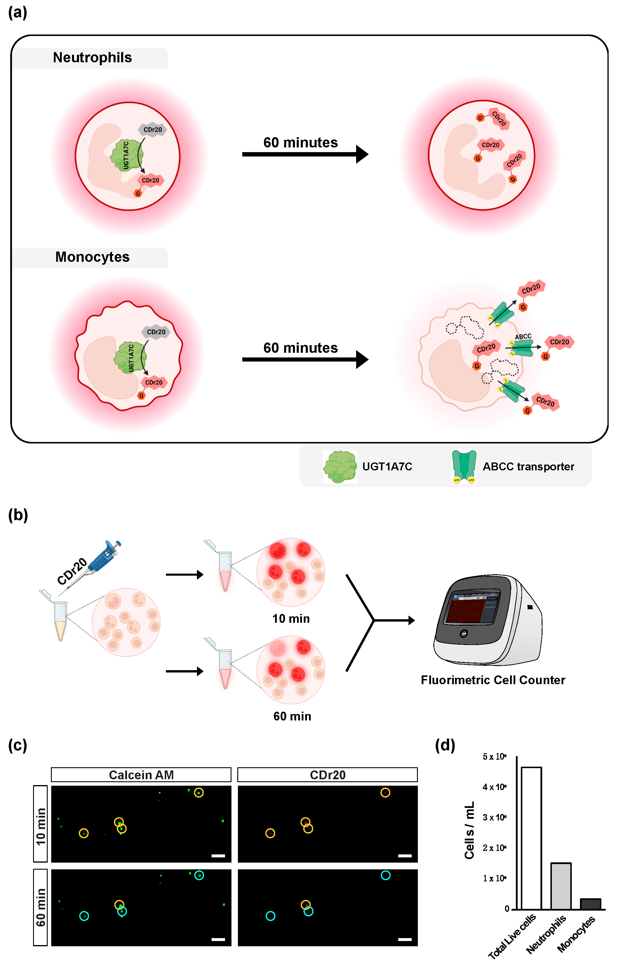 Chemosensors 11 00265 g005 Chemosensors 11 00265 g005