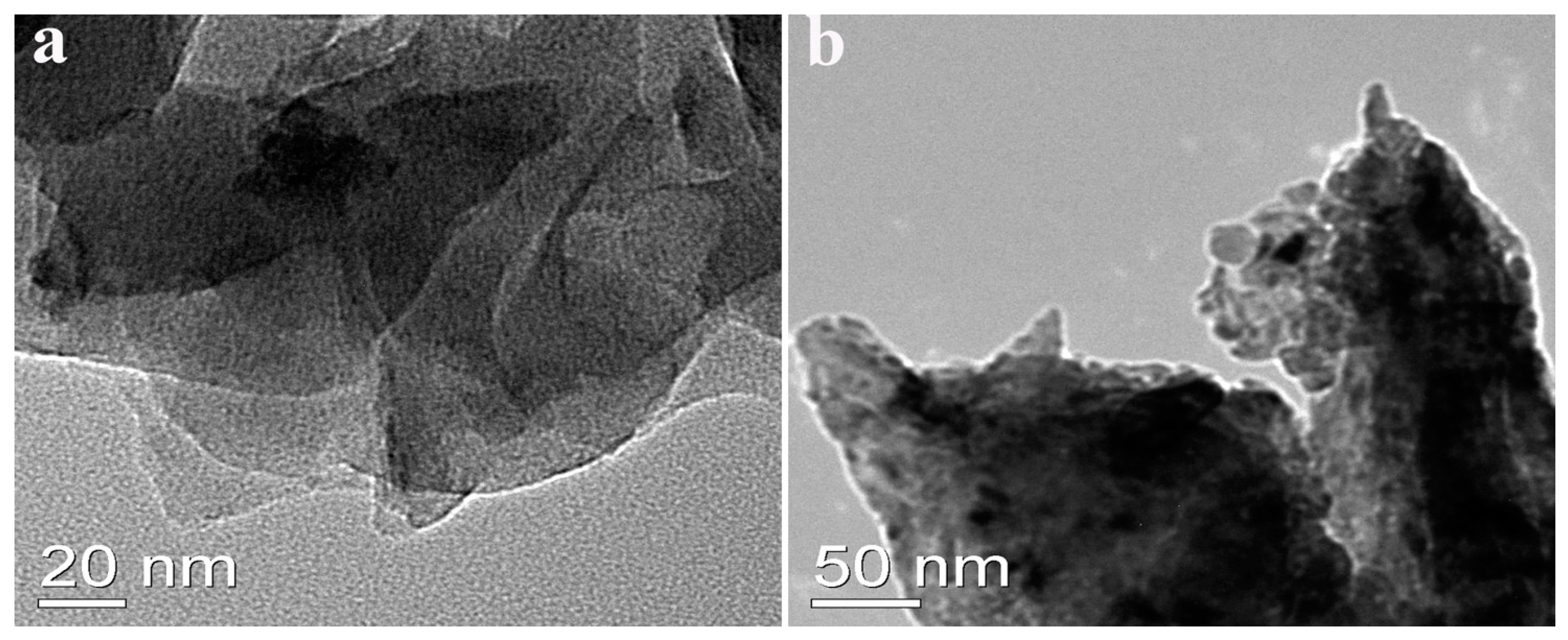 Chemosensors 11 00277 g002