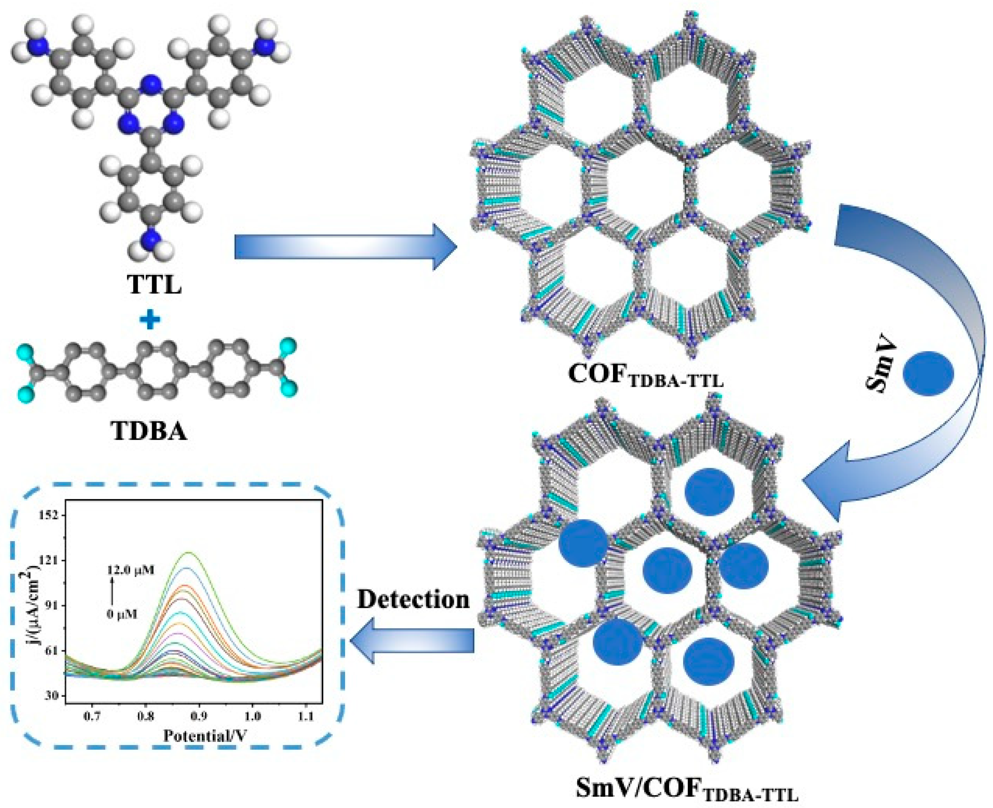 Chemosensors 11 00277 sch001