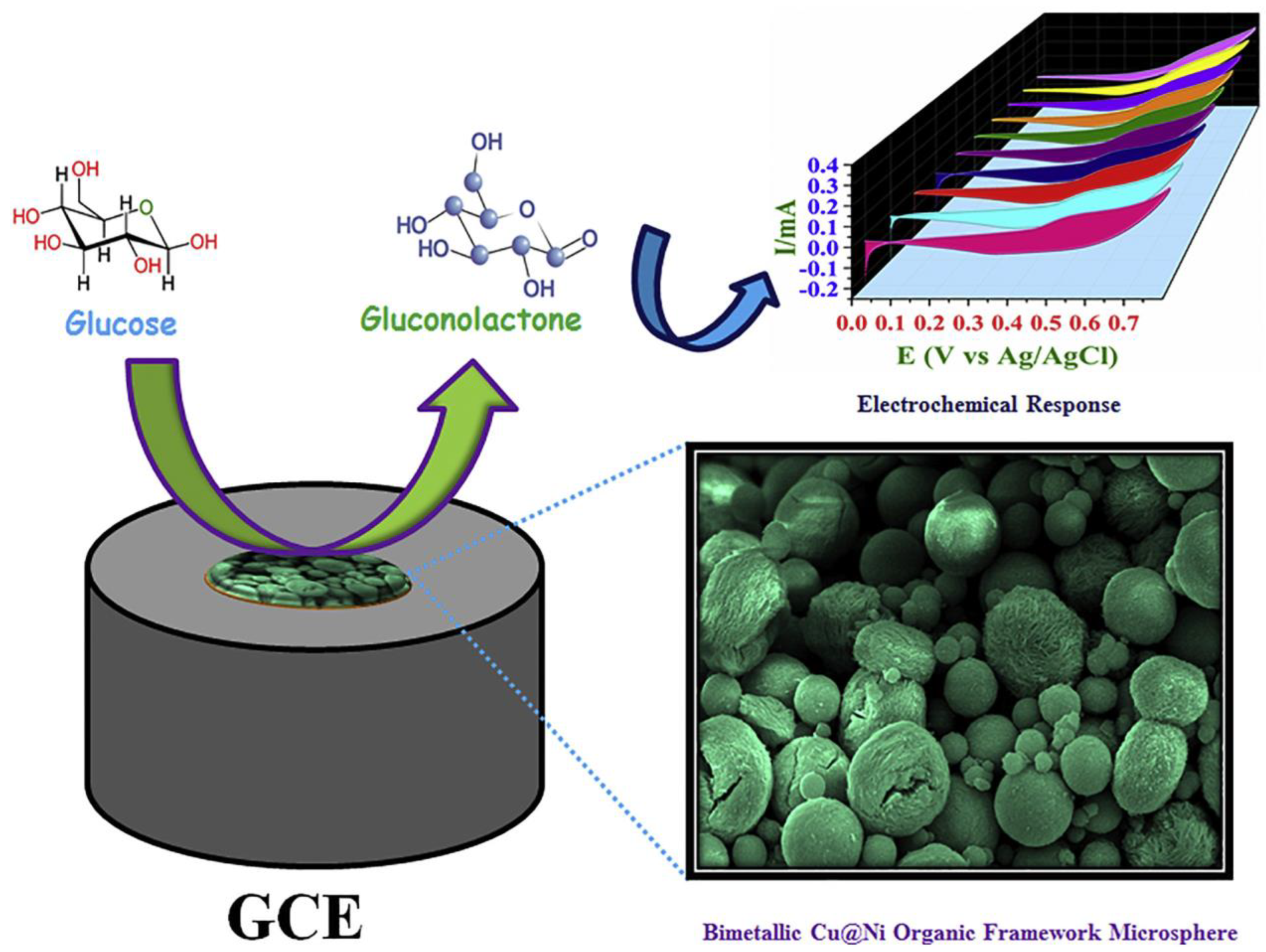 Chemosensors 11 00290 g002