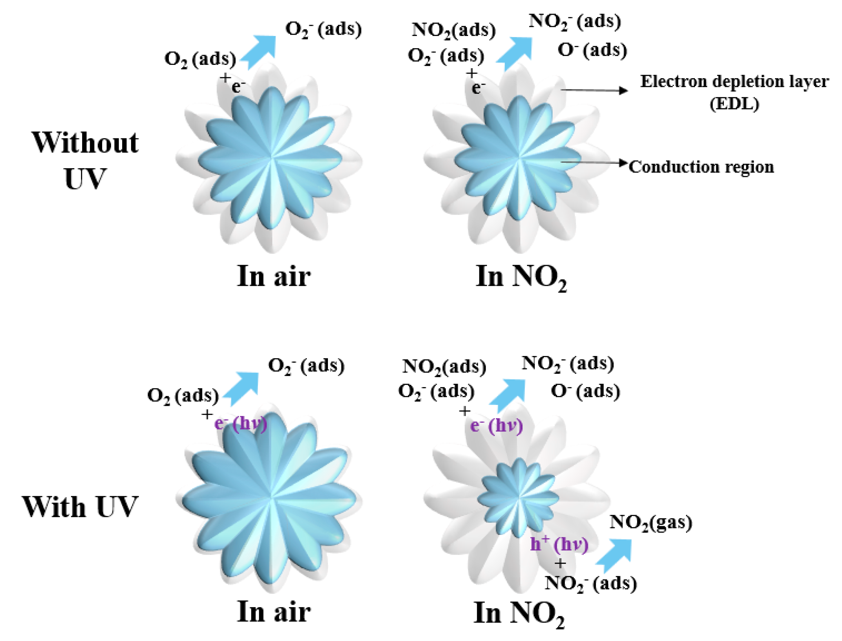 Chemosensors 11 00322 g011 Chemosensors 11 00322 g011