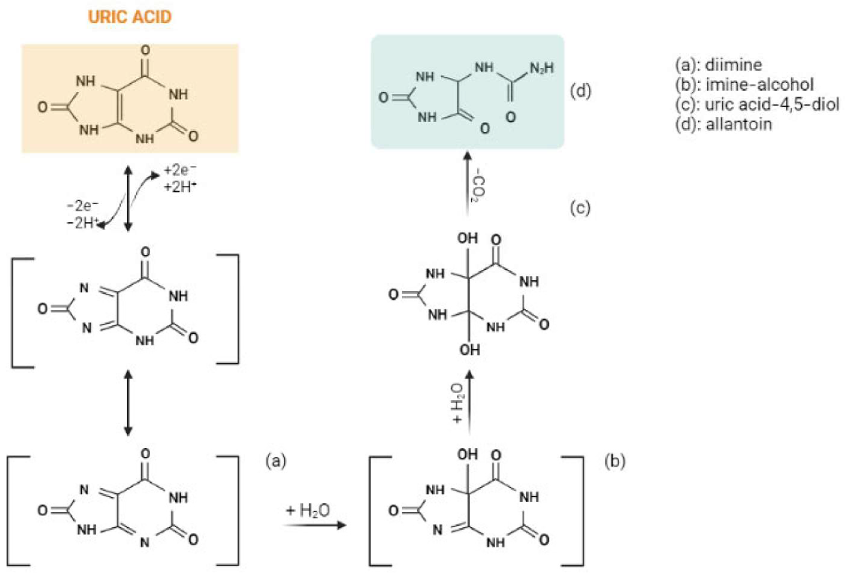 Chemosensors 11 00341 g001 Chemosensors 11 00341 g001