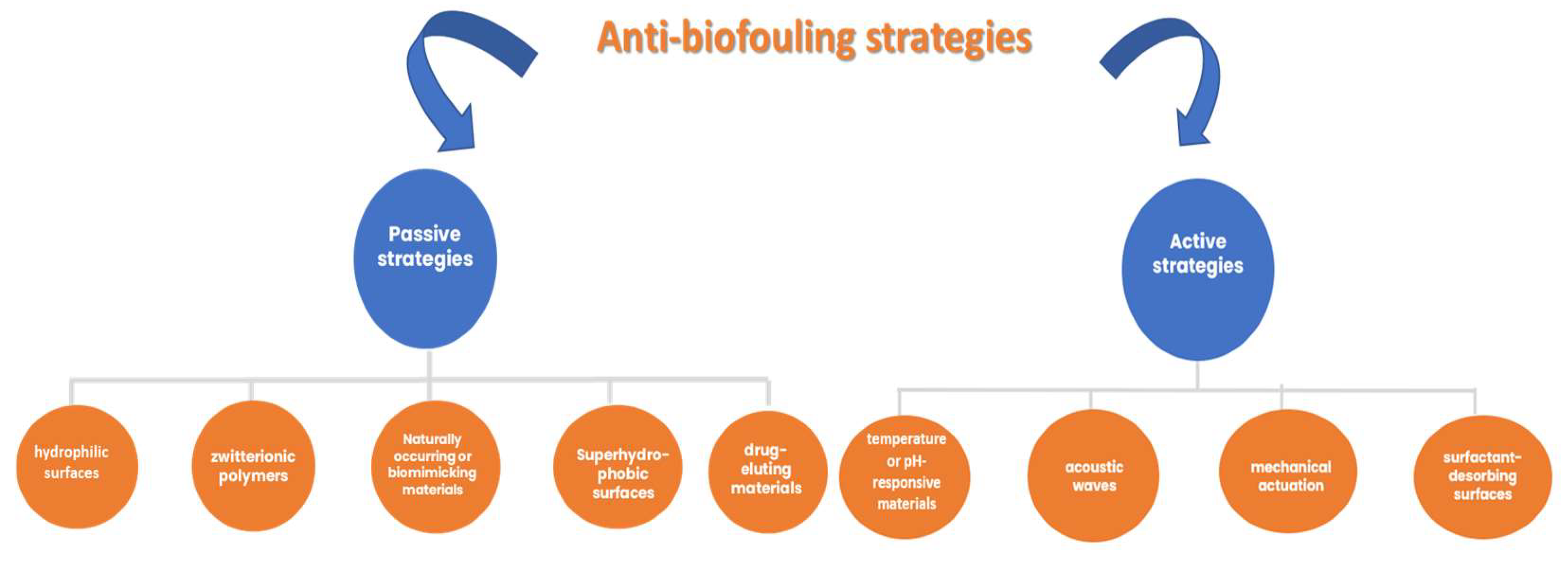 Chemosensors 11 00341 g003 Chemosensors 11 00341 g003