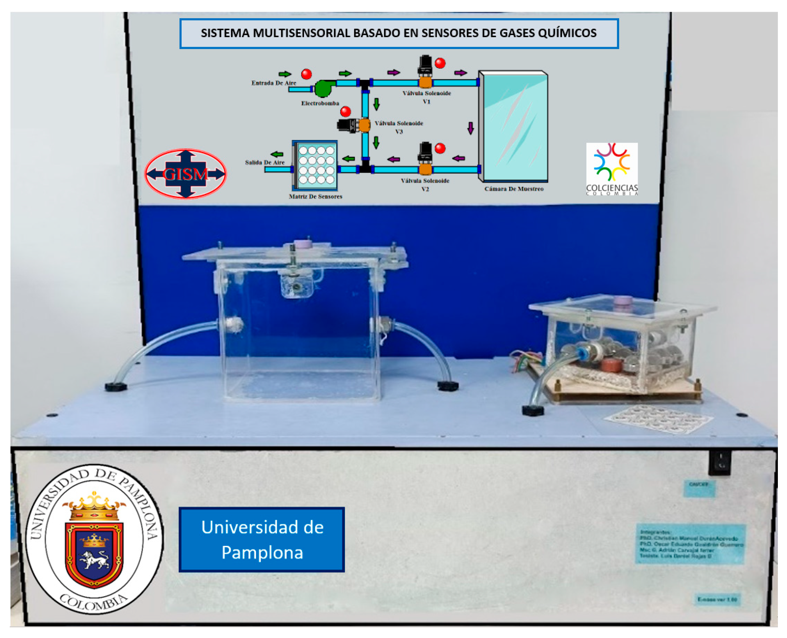 Chemosensors | Free Full-Text | Assessment of E-Senses Performance