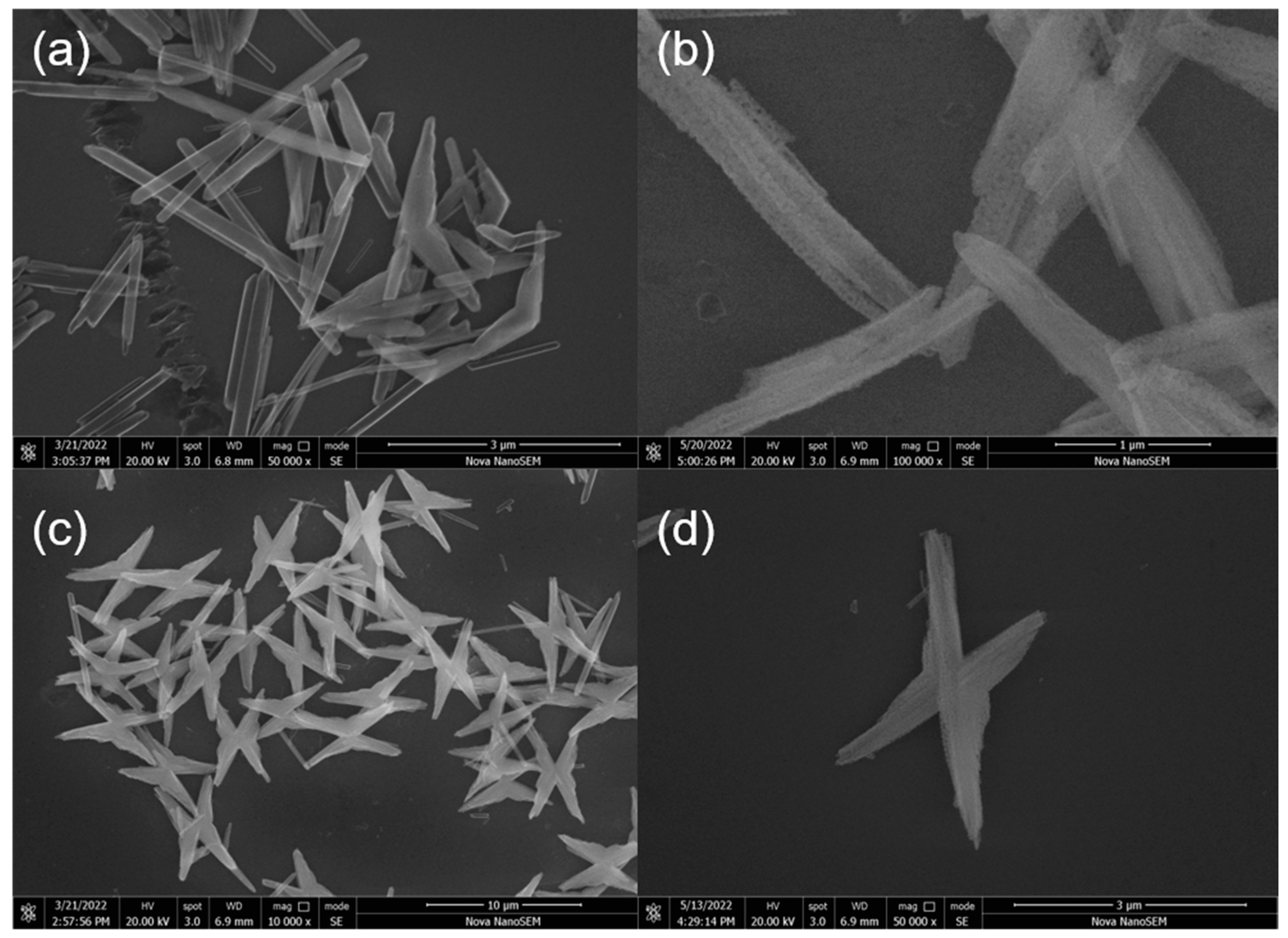 Chemosensors, Free Full-Text