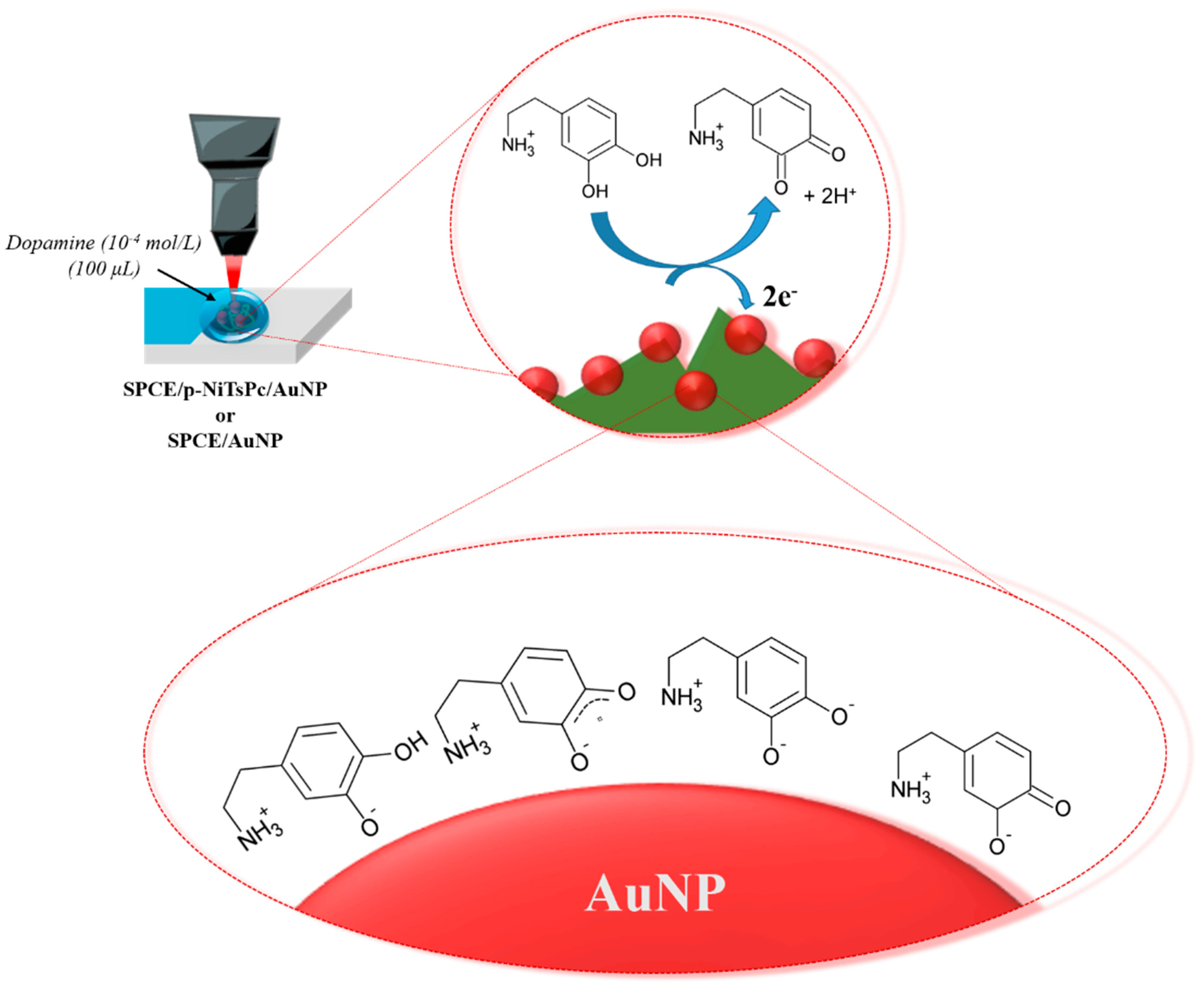 Chemosensors 11 00372 sch002 Chemosensors 11 00372 sch002