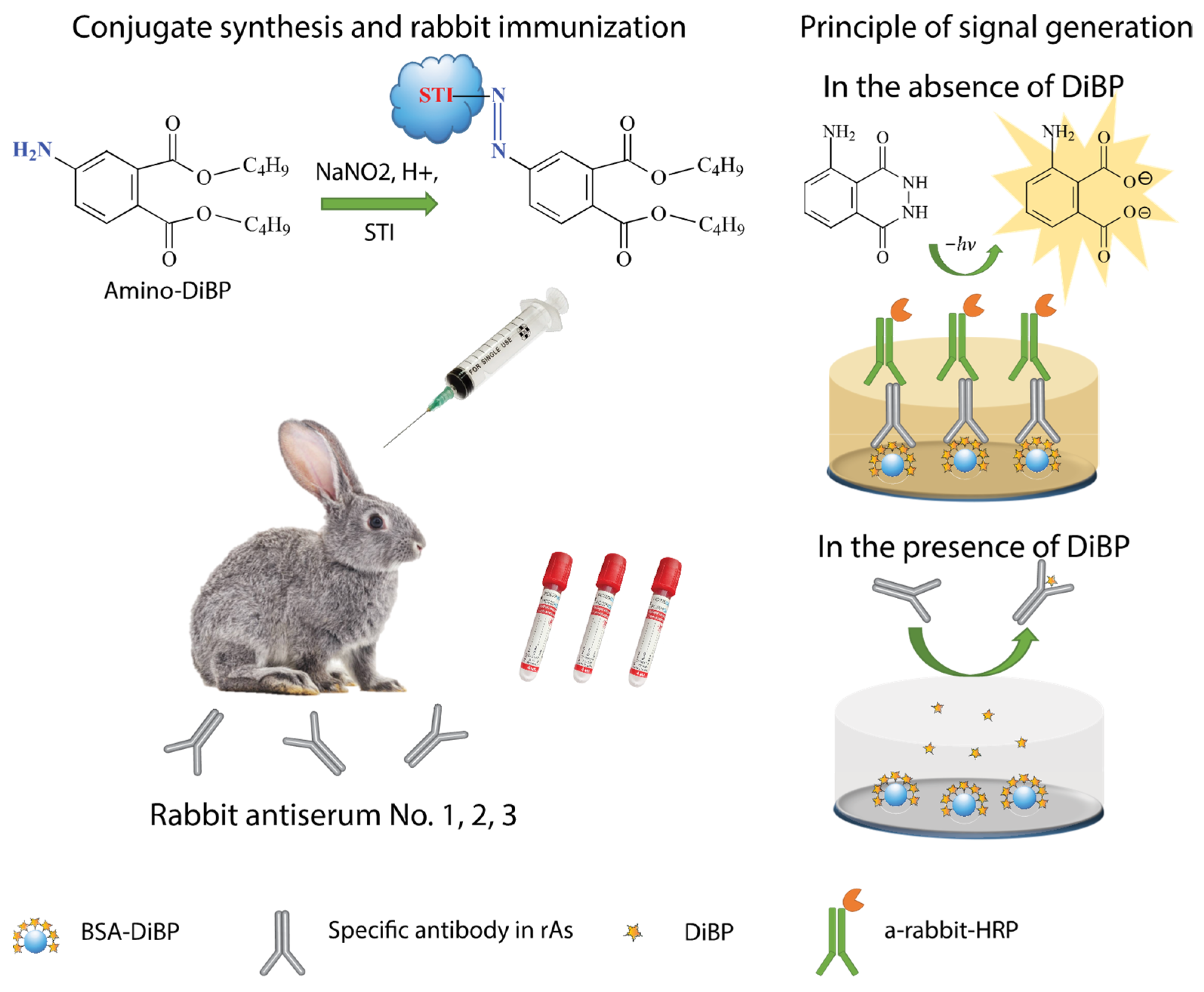 Chemosensors 11 00393 g001