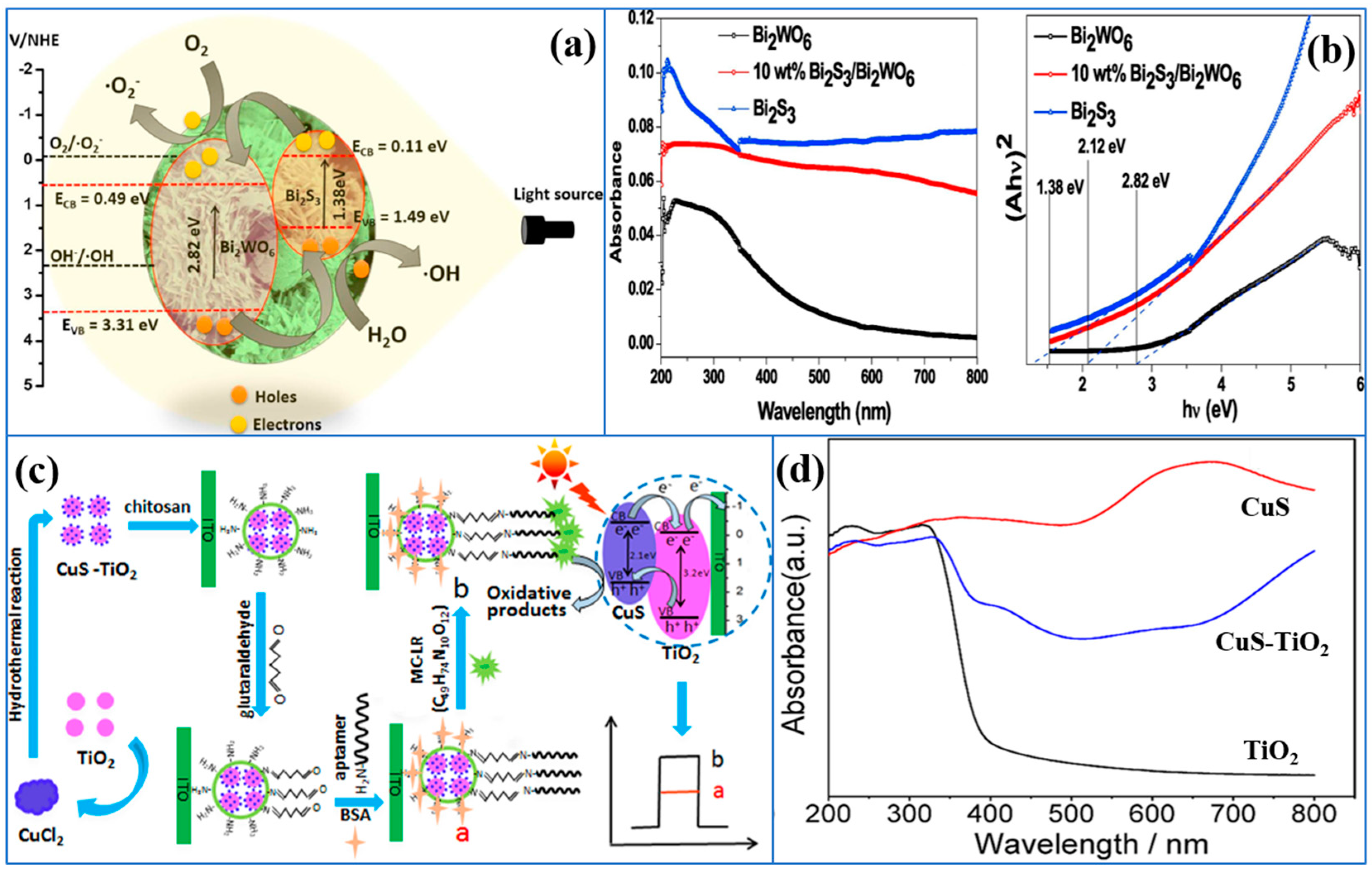 Chemosensors | Free Full-Text | Recent Advances in 