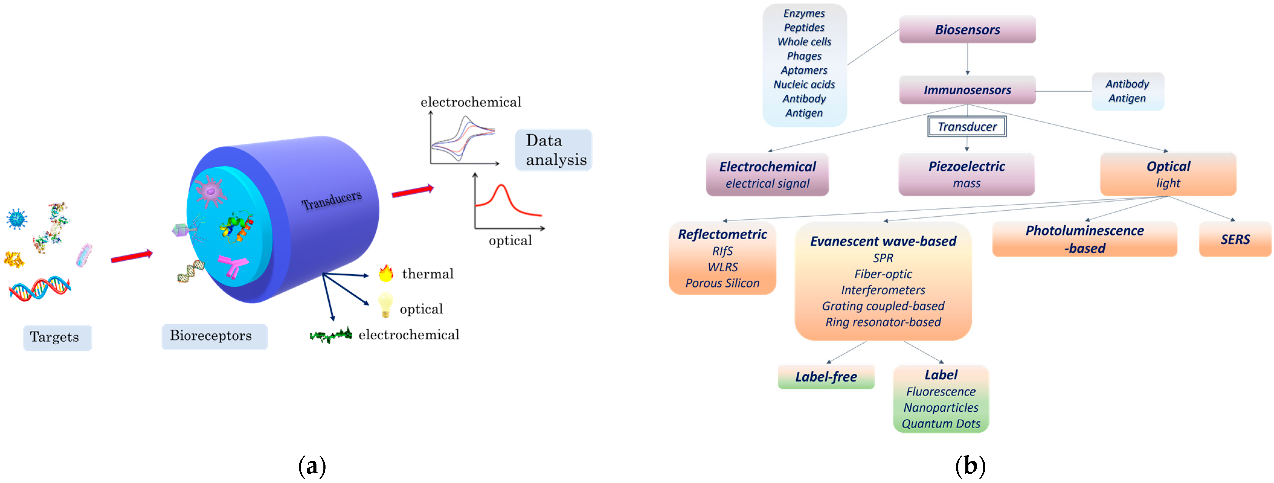 Chemosensors 11 00430 g001 Chemosensors 11 00430 g001