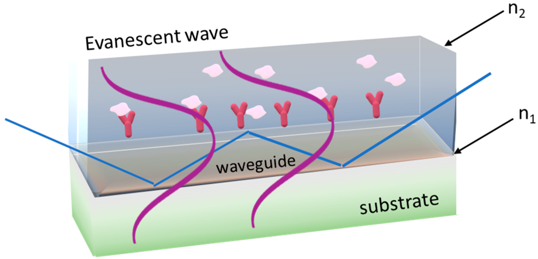 Chemosensors 11 00430 g003 Chemosensors 11 00430 g003