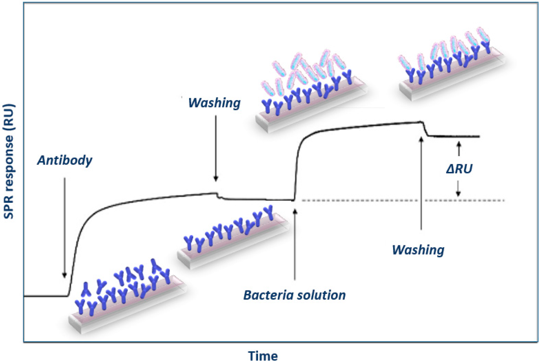 Chemosensors 11 00430 g005 Chemosensors 11 00430 g005