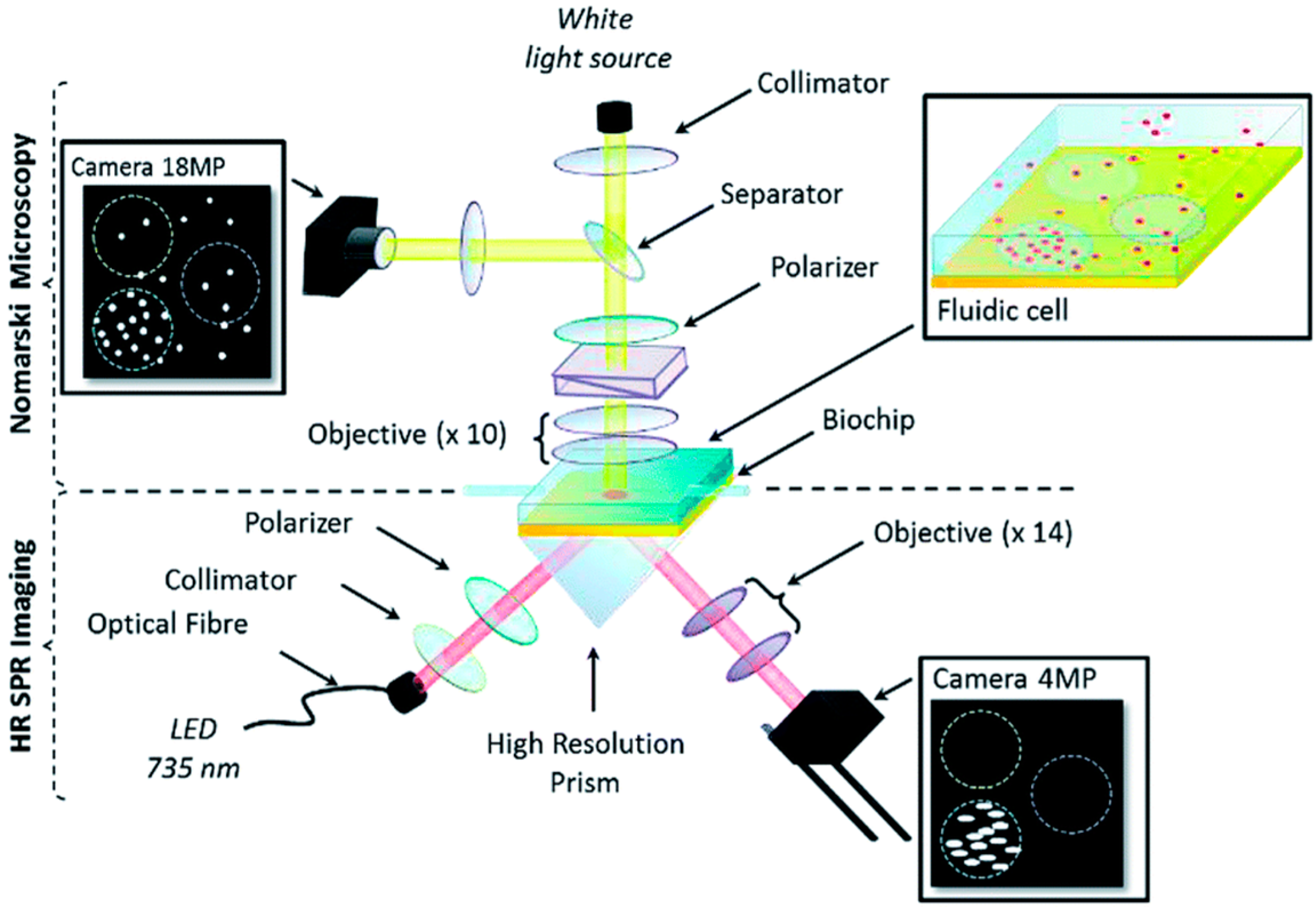 Chemosensors 11 00430 g006 Chemosensors 11 00430 g006