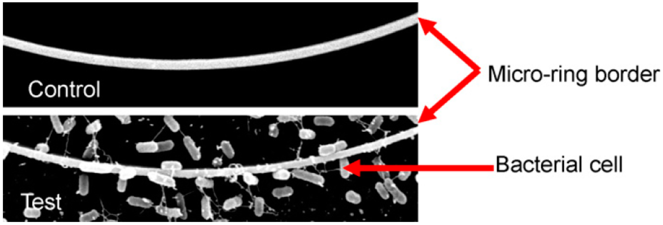 Chemosensors 11 00430 g010 Chemosensors 11 00430 g010