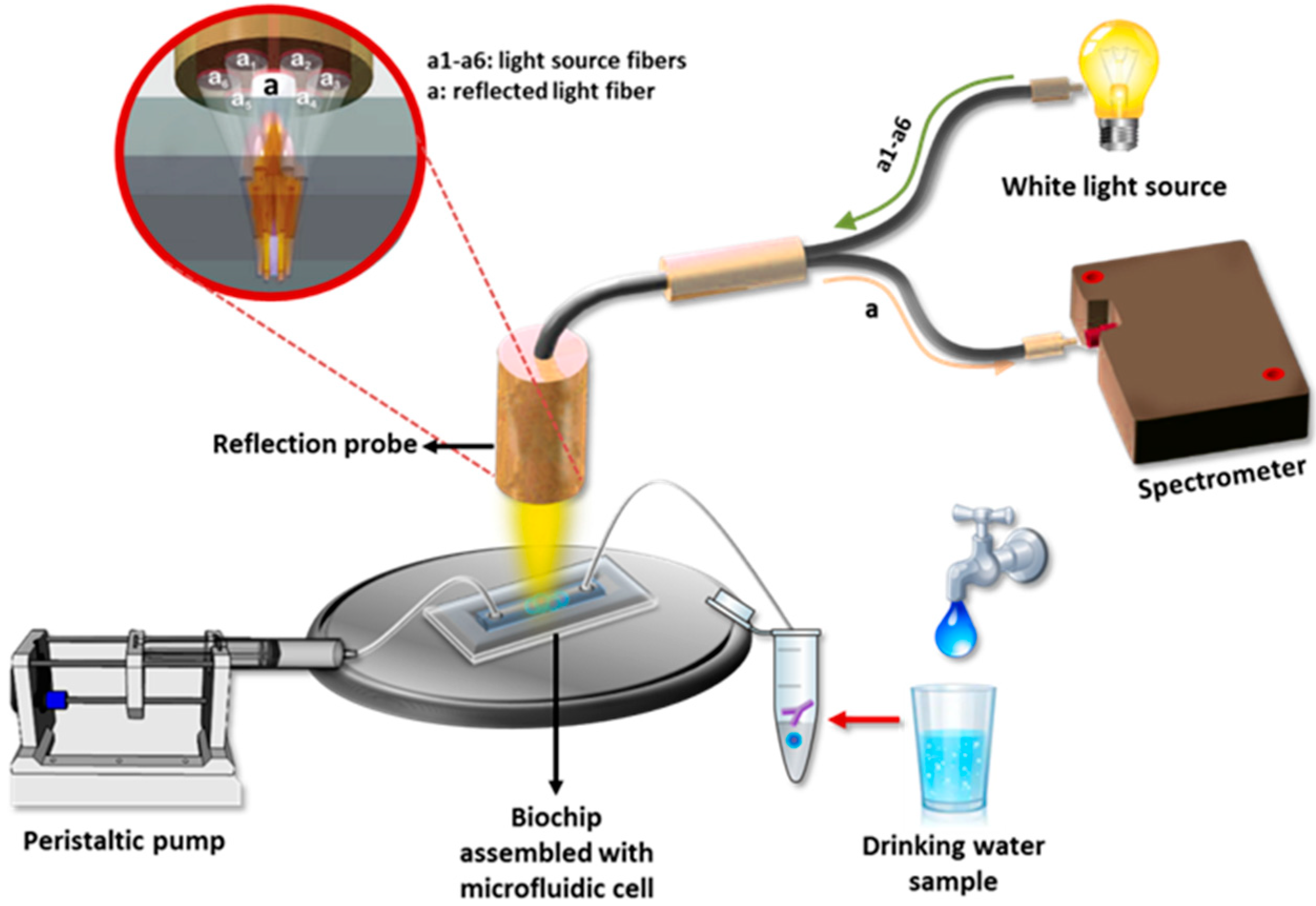 Chemosensors Free Full Text Optical Immunosensors For Bacteria