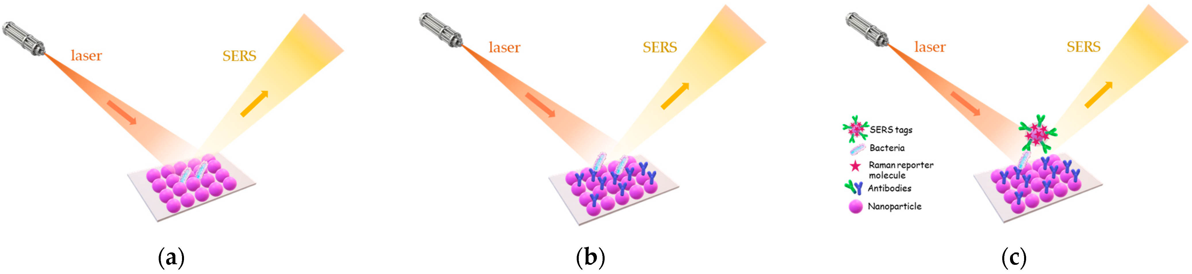 Chemosensors 11 00430 g013 Chemosensors 11 00430 g013